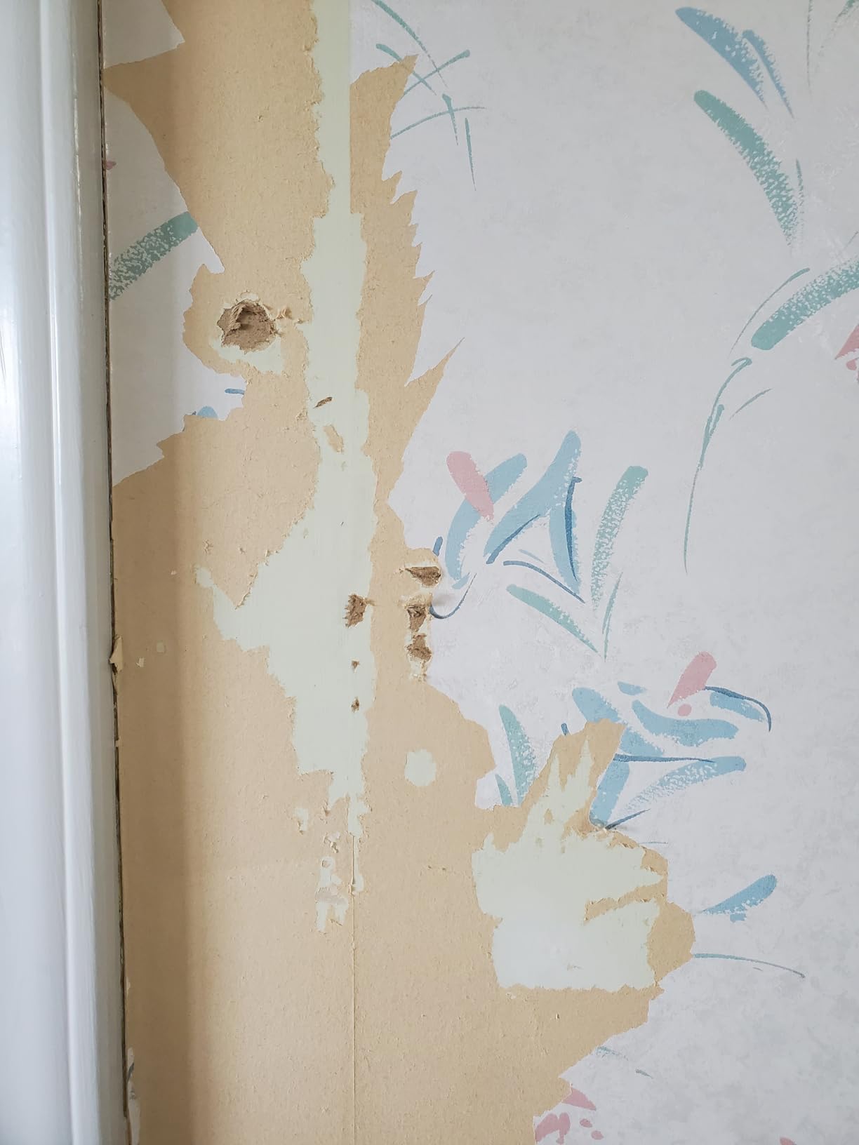 Wagner Spraytech 2439019 725 Wallpaper Steamer, Steam Cleaner for Easy Wallpaper Removal, 2 Steam Plates Included customer photo 2