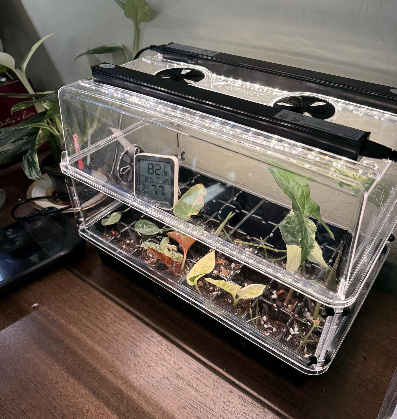 AC Infinity Humidity Dome, Heavy-Duty Germination Kit with 3 mm Thickest Dome, Sturdy Drip Tray, 5x8 Cell Seedling Tray, Vented Height Extension Panels, for Seed Starting, Propagation, Cloning Plants customer photo 2