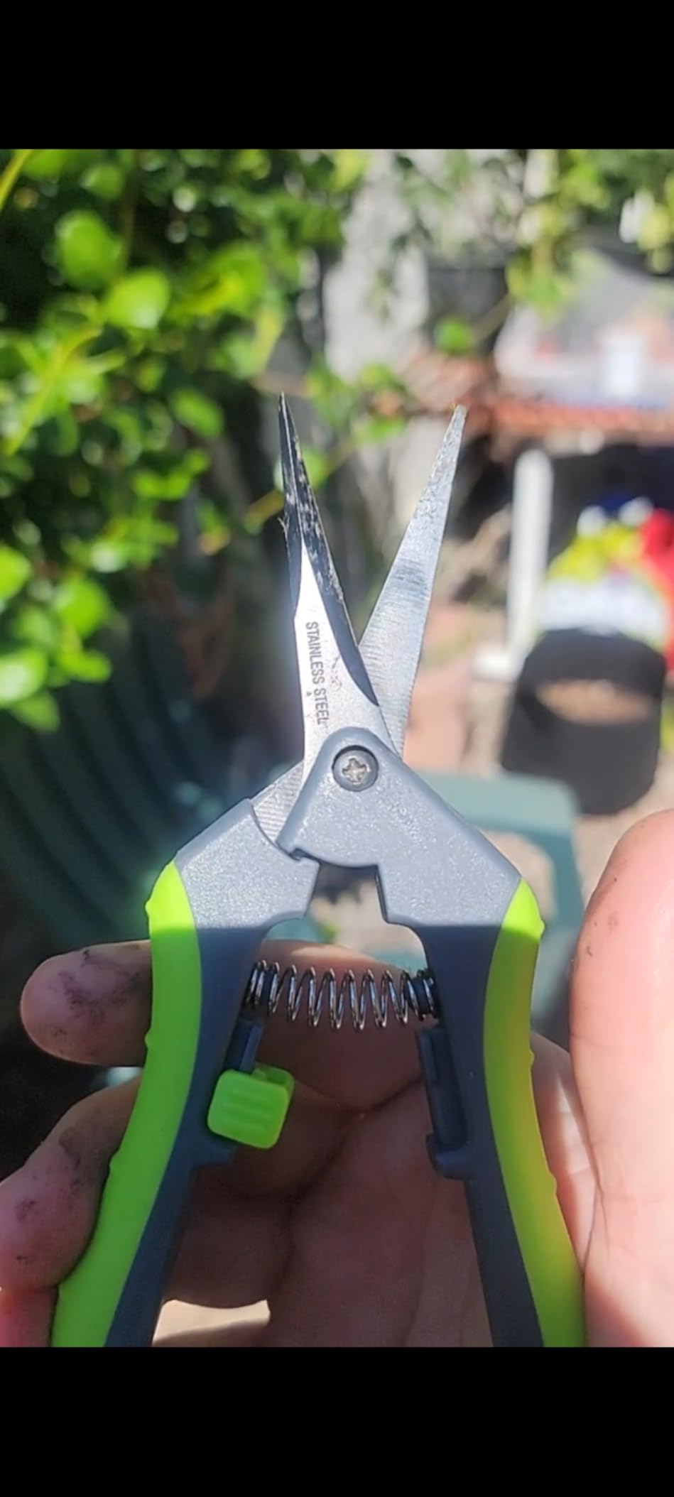 Pruning Shears for Gardening,8.5