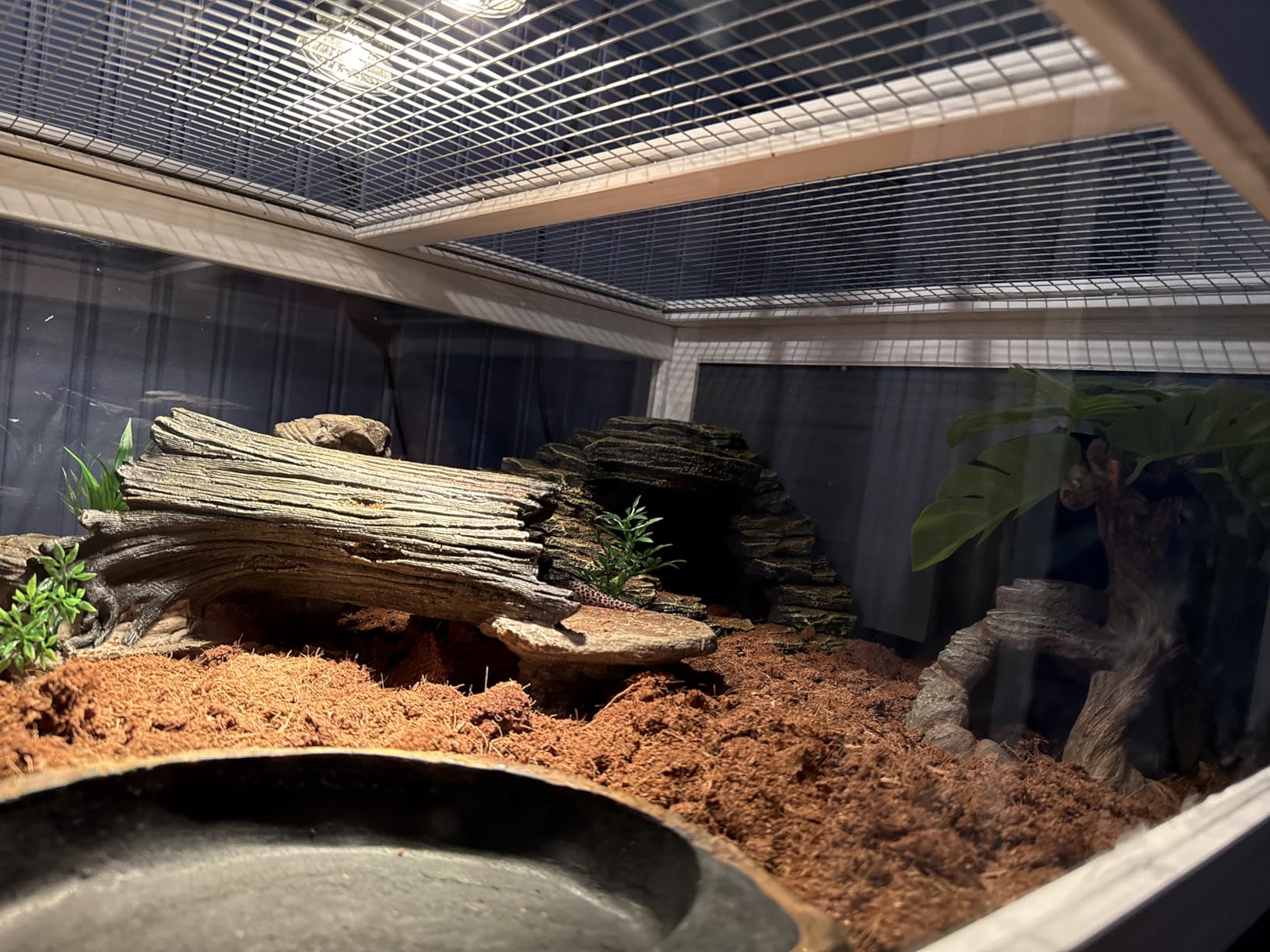 BIRASIL Wood Tortoise House, Indoor Turtle Habitat Reptile Cage, Tortoises Enclosure for Small Animals Lizards Hamster customer photo 1