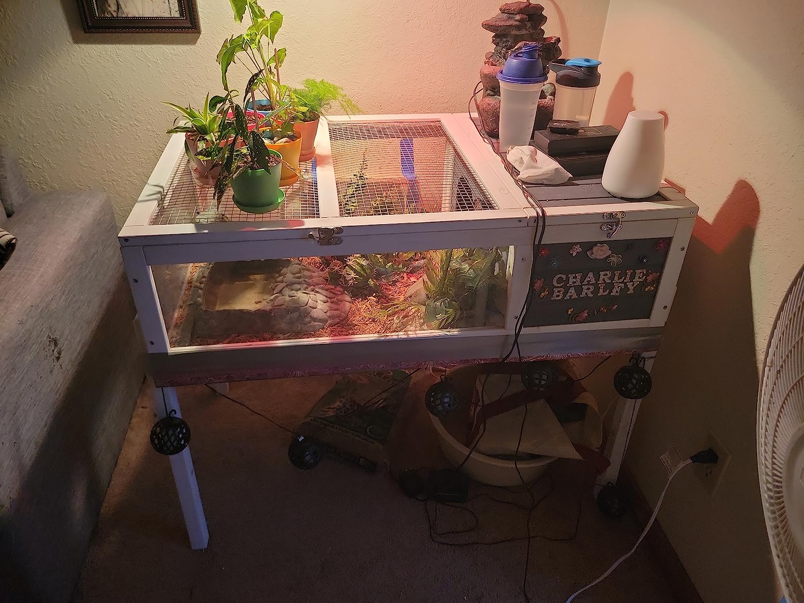 BIRASIL Wood Tortoise House, Indoor Turtle Habitat Reptile Cage, Tortoises Enclosure for Small Animals Lizards Hamster customer photo 2