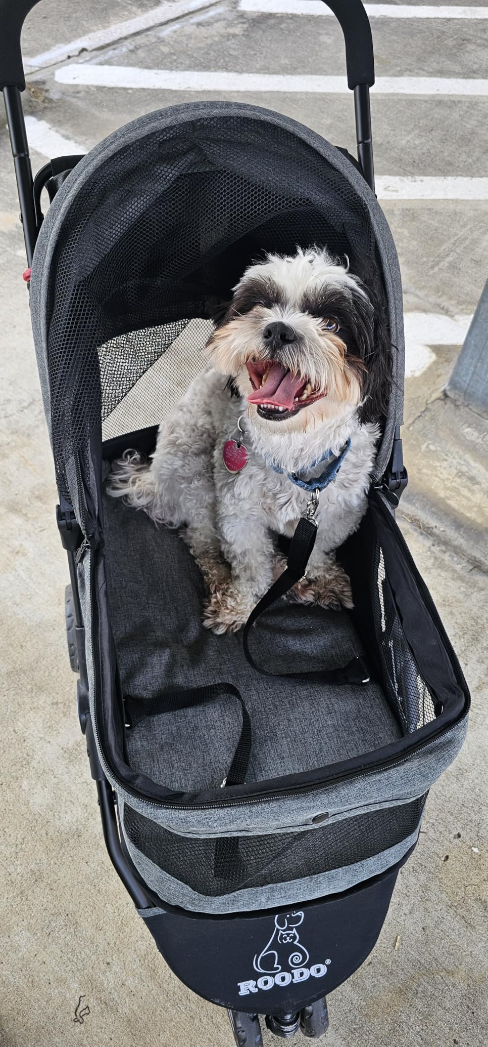 ROODO 3 Wheel Pet Stroller Best Lightweight Foldable Compact Portable Jogger All Terrain Travel Pet Gear Puppy Kitty Stroller for up to 30lbs Medium Small Dogs and Cats(Green) customer photo 1