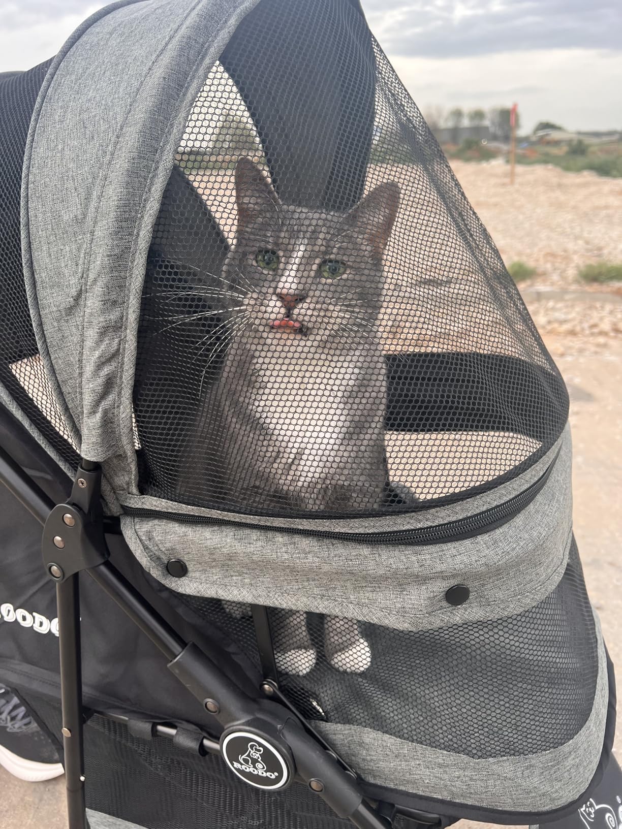 ROODO 3 Wheel Pet Stroller Best Lightweight Foldable Compact Portable Jogger All Terrain Travel Pet Gear Puppy Kitty Stroller for up to 30lbs Medium Small Dogs and Cats(Green) customer photo 2