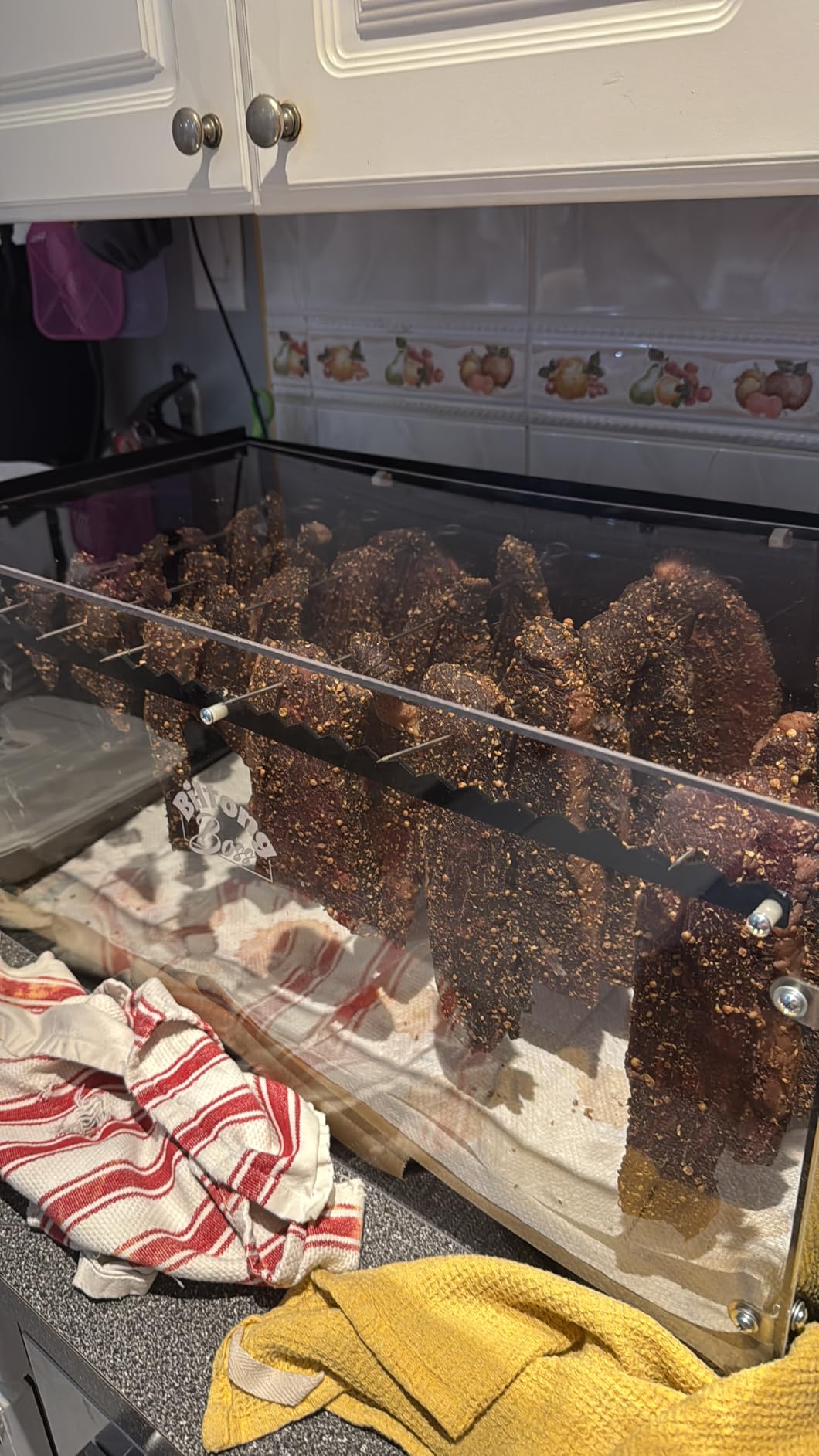 The Biltong Boss® Biltong Box - a Professional Biltong and Droëwors Drying Chamber with a Recipe Book, 25lb meat capacity, 2ft x 1ft x 1ft, Black & Clear, Kit customer photo 1