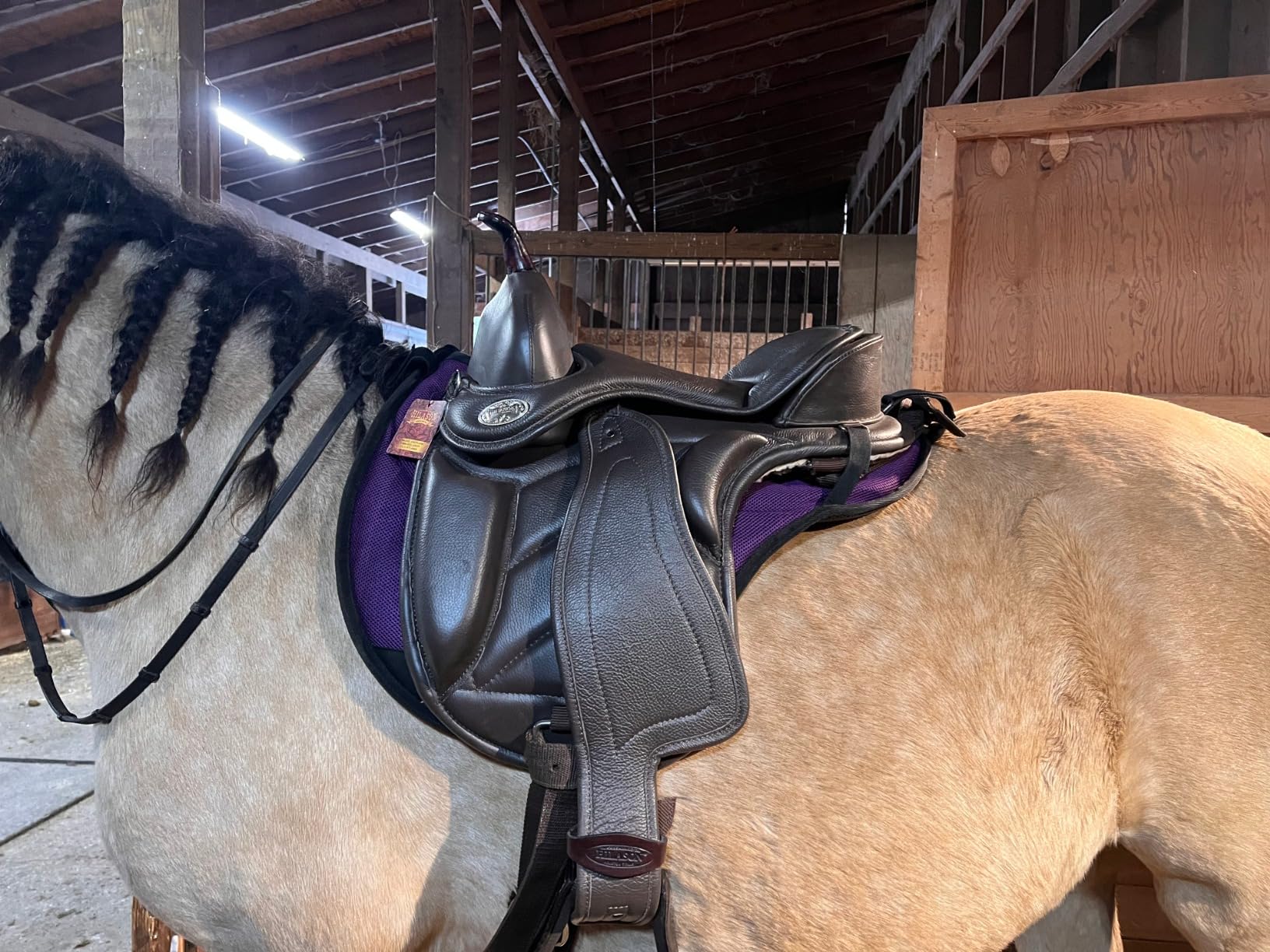 HILASON Horse English Treeless Saddle Endurance Trail Pleasure Leather customer photo 1