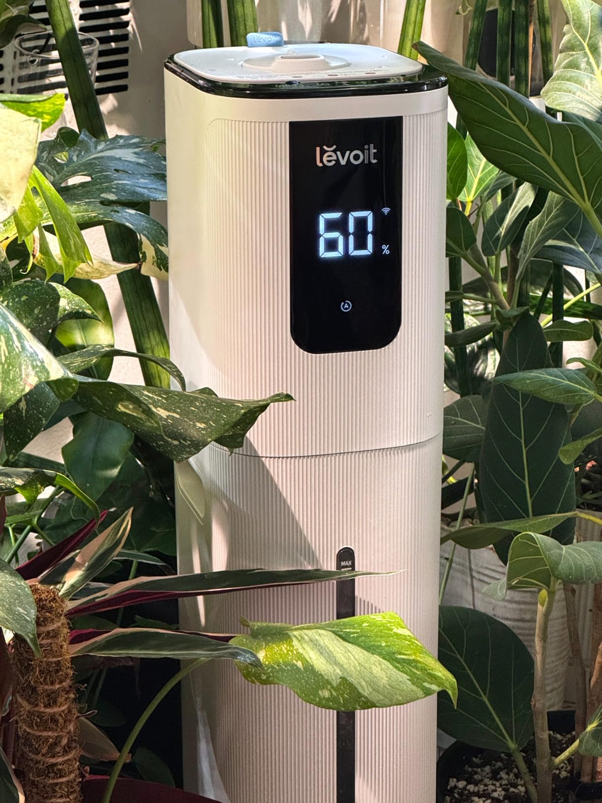 LEVOIT OasisMist 1000S (10L) Smart Humidifier for Home Large Room Bedroom, Last 100 Hours Suitable for Indoor Plant, Cover up to 600ft, Easy Top Fill, Remote & Voice Control, Auto Mode, Quiet, White customer photo 1
