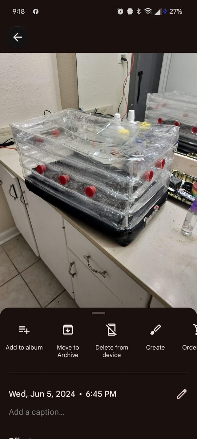 Boomer Shroomer Inflatable Monotub Kit, Mushroom Growing Kit Includes a Drain Port, Plugs & Filters, Removeable Liner [Patent No: US 11,871,706 B2] customer photo 2
