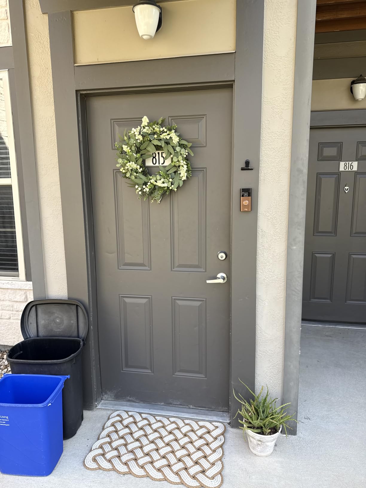 Vlorart Artificial Spring Summer Christmas Greenery Wreaths for Front Door Green Eucalyptus Leaf Wreath Decor Boxwood with Big Berries for Farmhouse Outside Year Round customer photo 1
