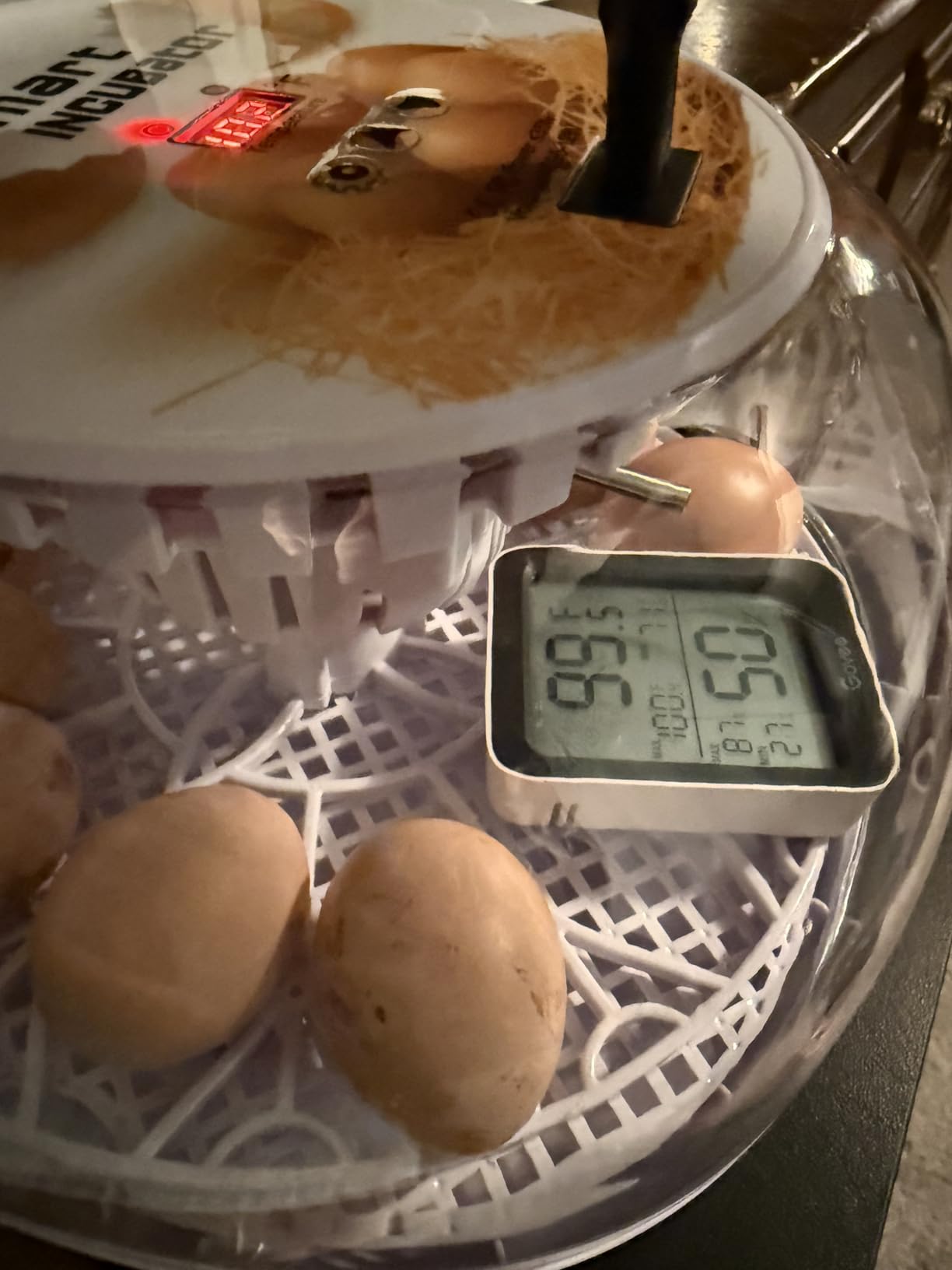 Incubators for Hatching Eggs, 12 Egg Incubator with Automatic Turning and Temperature Control, Automatic Water Adding, LED Egg Candler, for Hatching Chickens, Duck, Quail customer photo 1