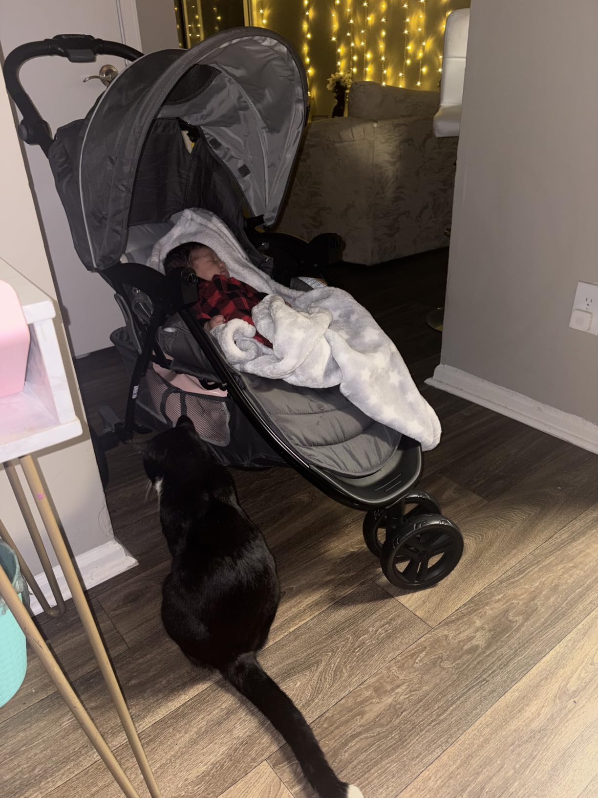 Baby Trend Stroller and EZ-Lift Infant Car Seat, EZ Ride Travel System, Dash Grey customer photo 1