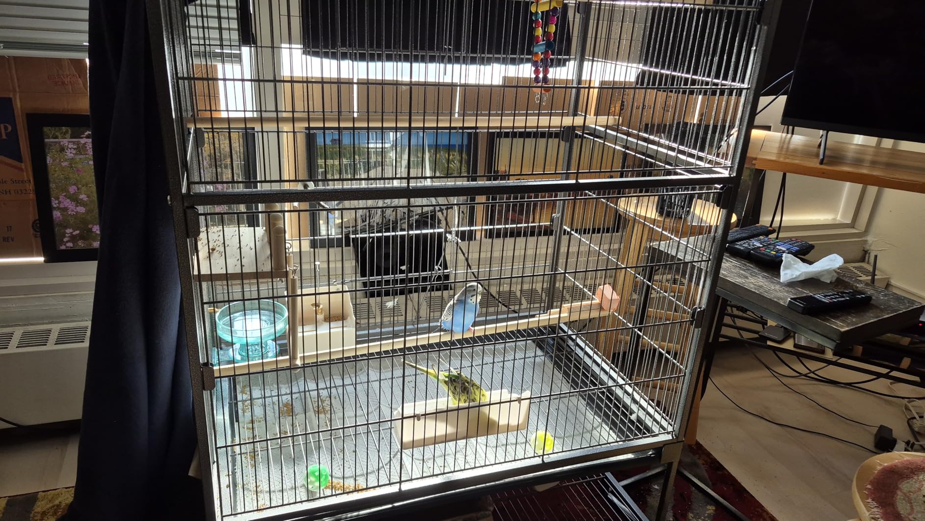 Yaheetech 60.5inch Extra Large Bird Cage Metal Parrot Cage Flight Cage for Cockatiels African Grey Quaker Green Cheek Sun Conure Medium Birds Parrots customer photo 1
