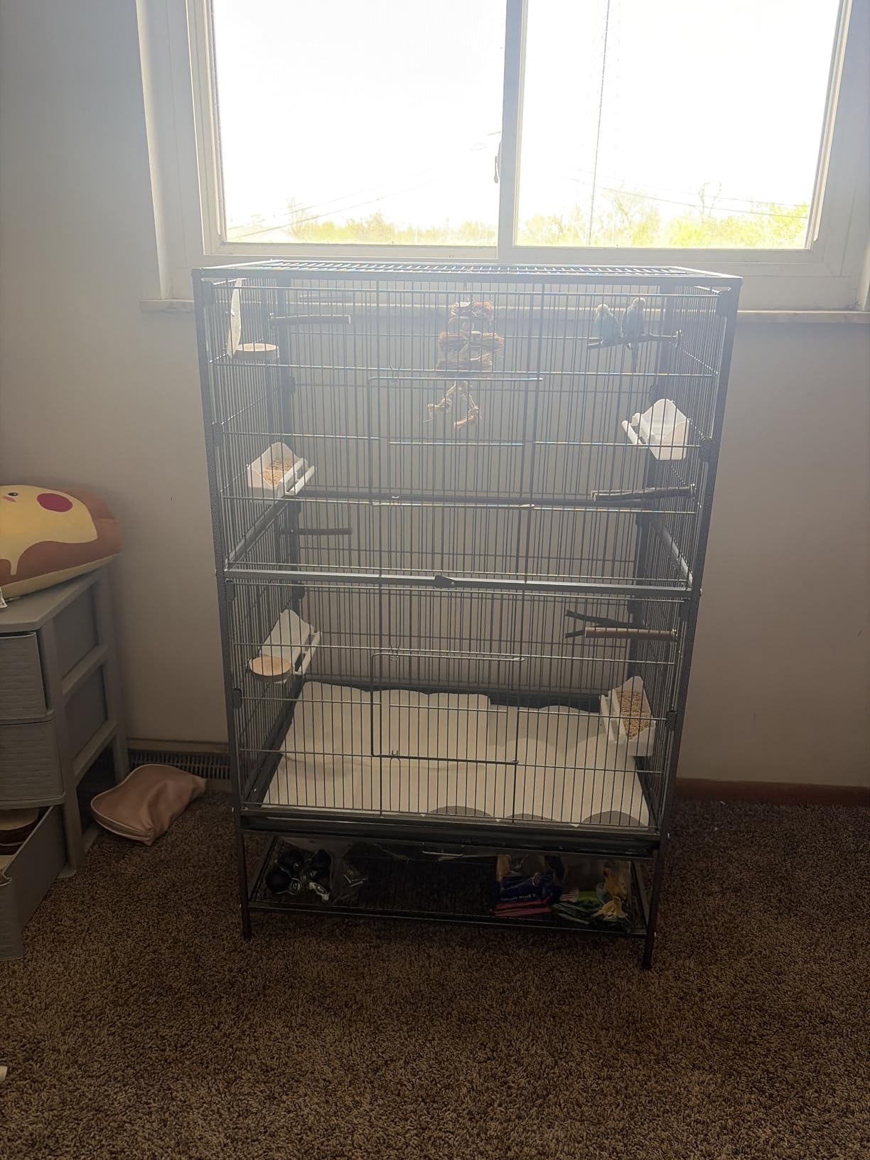 Yaheetech 60.5inch Extra Large Bird Cage Metal Parrot Cage Flight Cage for Cockatiels African Grey Quaker Green Cheek Sun Conure Medium Birds Parrots customer photo 2