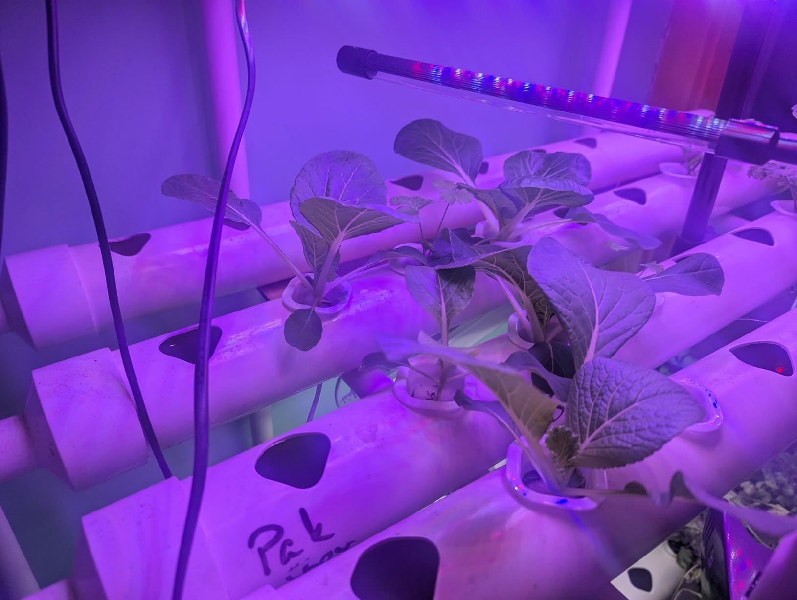 Upgraded Hydroponics Growing System Kit,108 Plant Sites 3 Layers Food-Grade PVC-U Pipes Hydroponic Grow Kit Gardening System for Vegetables, Flowers, Fruits, Herbs customer photo 1
