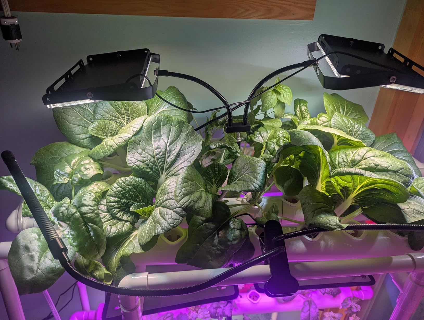 Upgraded Hydroponics Growing System Kit,108 Plant Sites 3 Layers Food-Grade PVC-U Pipes Hydroponic Grow Kit Gardening System for Vegetables, Flowers, Fruits, Herbs customer photo 2