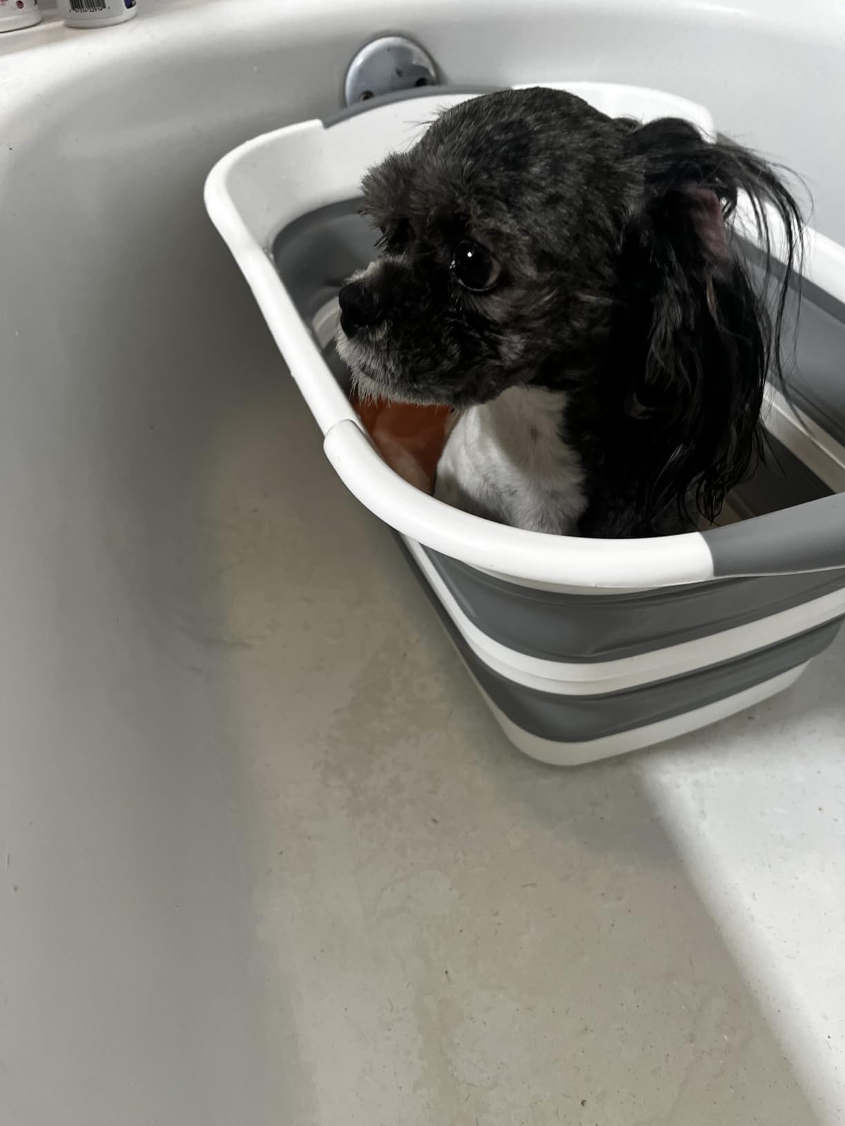 Collapsible Pet Bathtub with Water Drain Plug, Foldable Bathtub for Puppy Small Dogs Cats, Portable & Space Saving Design, BPA Free, Grey customer photo 2