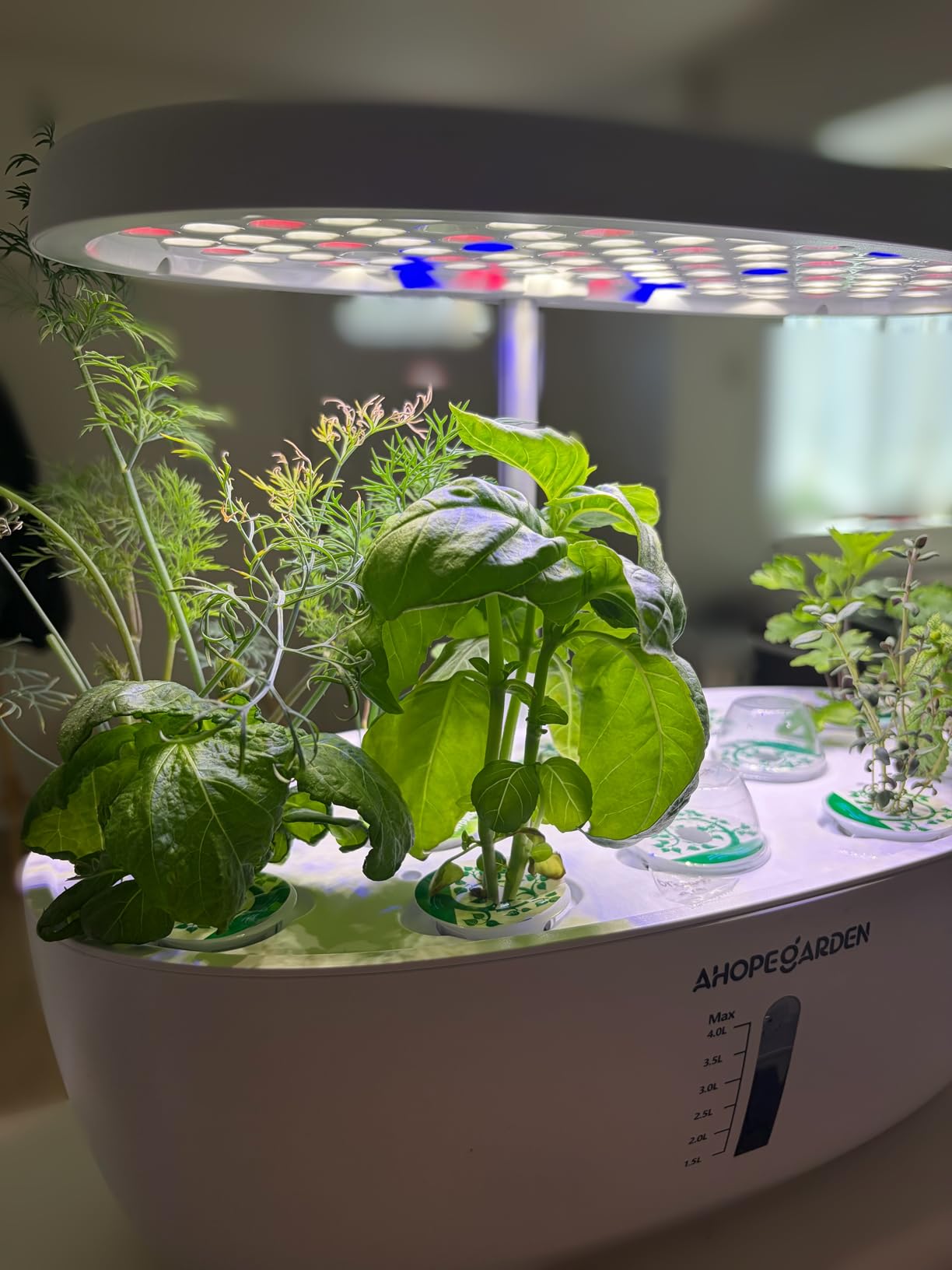 Ahopegarden Indoor Garden Hydroponics Growing System: 12 Pods Plant Germination Kit Garden Kit Growth Lamp Countertop with LED Grow Light Hydrophonic Planter Grower Harvest Vegetable Lettuce customer photo 1