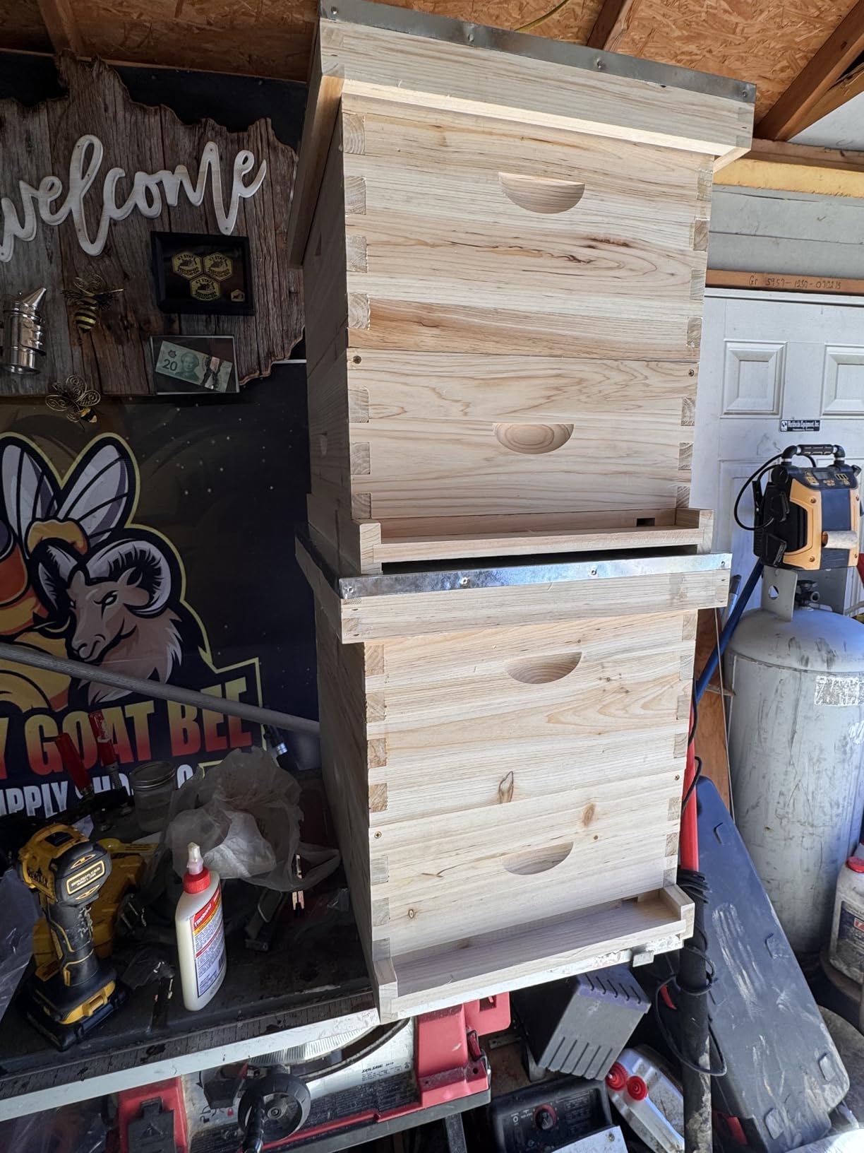 POLLIBEE Bee Hive, 10 Frame Beehive Boxes Starter Kit, Langstroth Beehives Include 2 Deep Hive Boxes and 1 Medium Super Bee Box, Include Bee Hive Frames and Wax Foundation Sheets customer photo 2