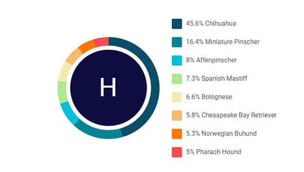 Koko Genetics - DNA Test for Dogs Starter - (Breeds and Traits Reports) - Updates at no cost customer photo 1