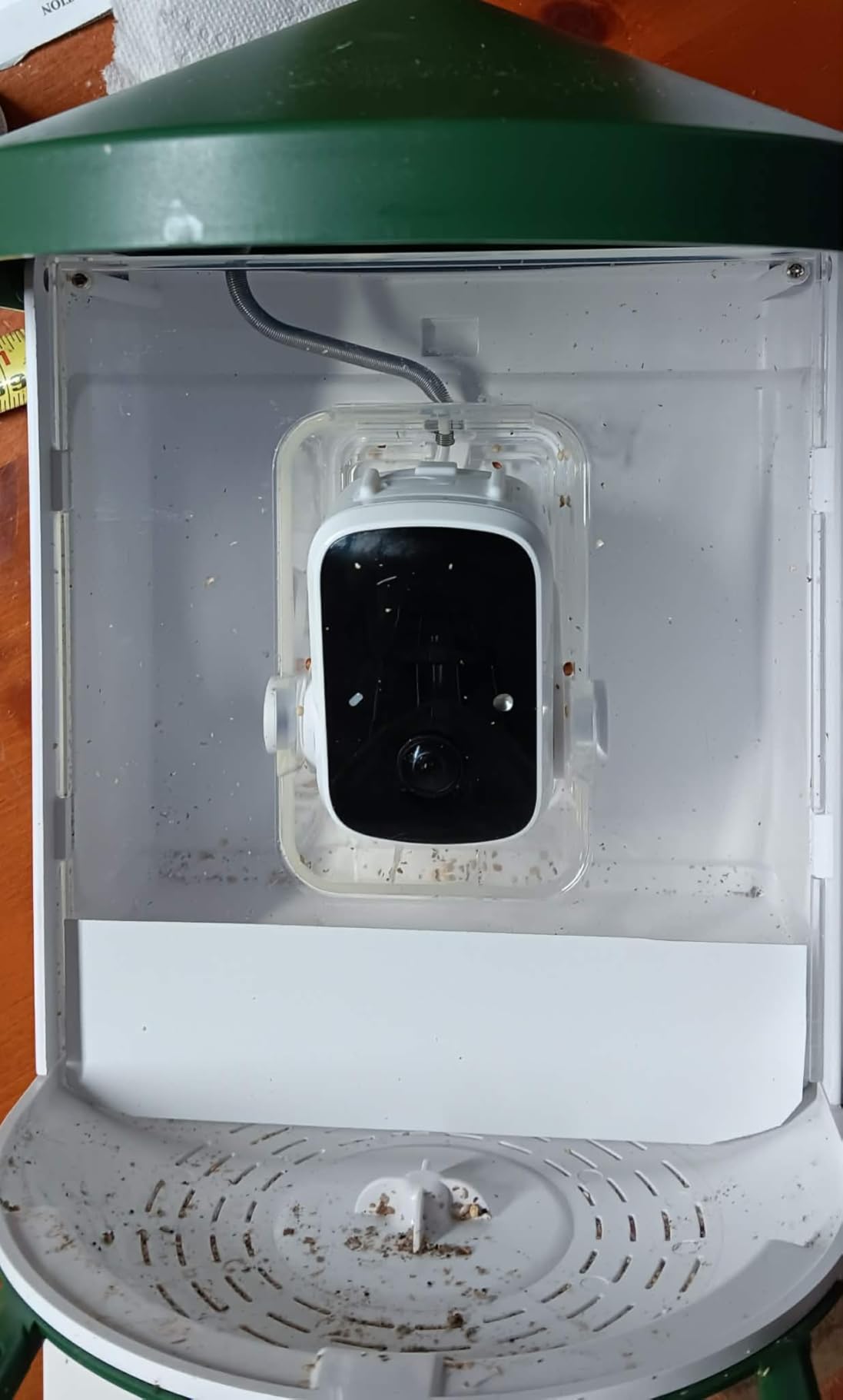 HARYMOR Bird Feeder with Camera with AI Identify Birds Species Solar Powered, Smart Bird House with Cam, 2K HD Video Live Stream, Instant Arrival Alerts - Green customer photo 1