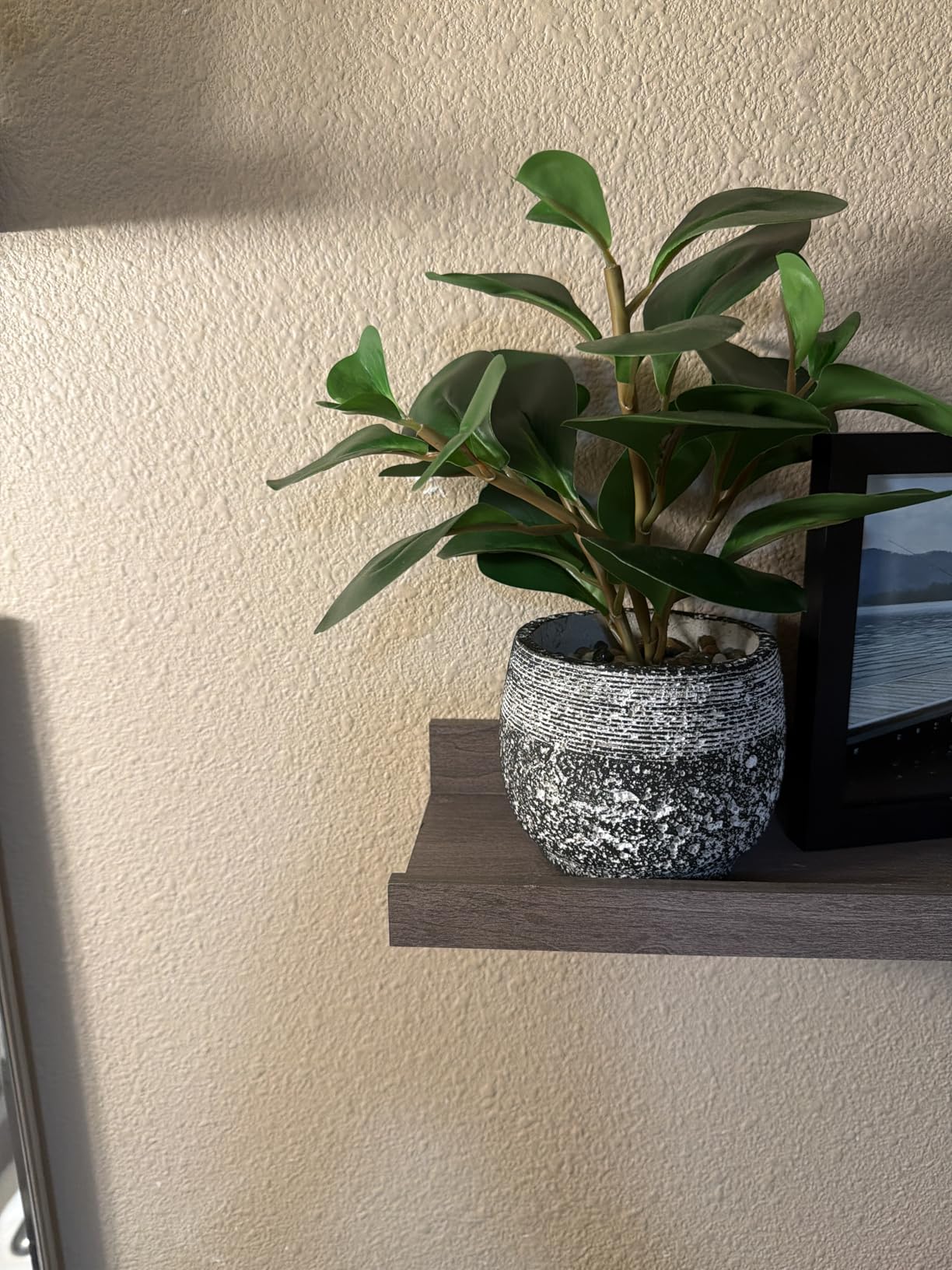 AlphaAcc Artificial Plants Decor Greenery Fake Succulents Indoor Potted Fake Plant with Rustic Black Clay Planter for Home Decor Farmhouse Room Bathroom Bedroom Kitchen Office Table Decor customer photo 2