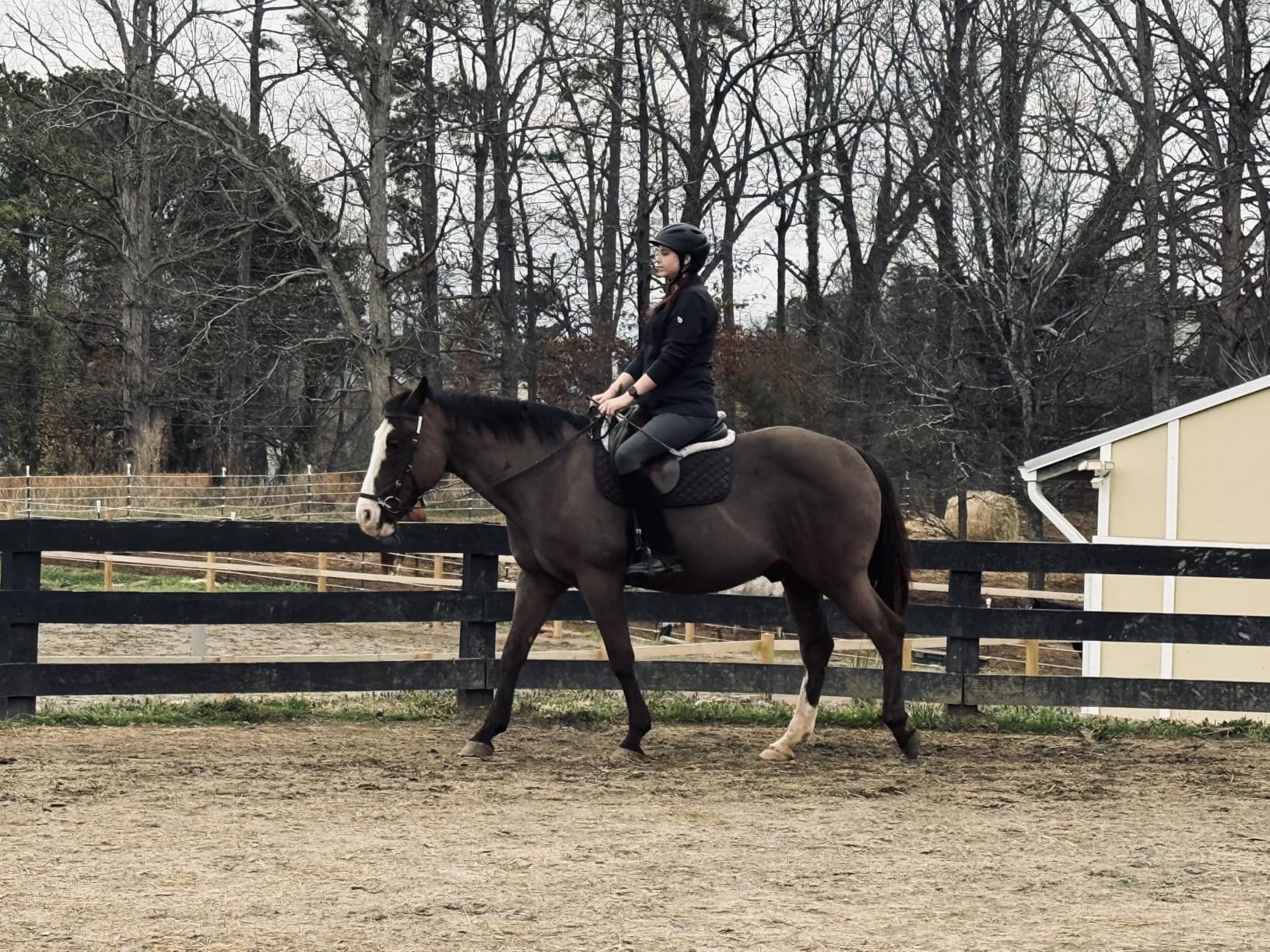 Women's Coolcore Full Leg Grip Horse Riding Tights - Cooling Equestrian Leggings, Silicone Grip, Pockets customer photo 1