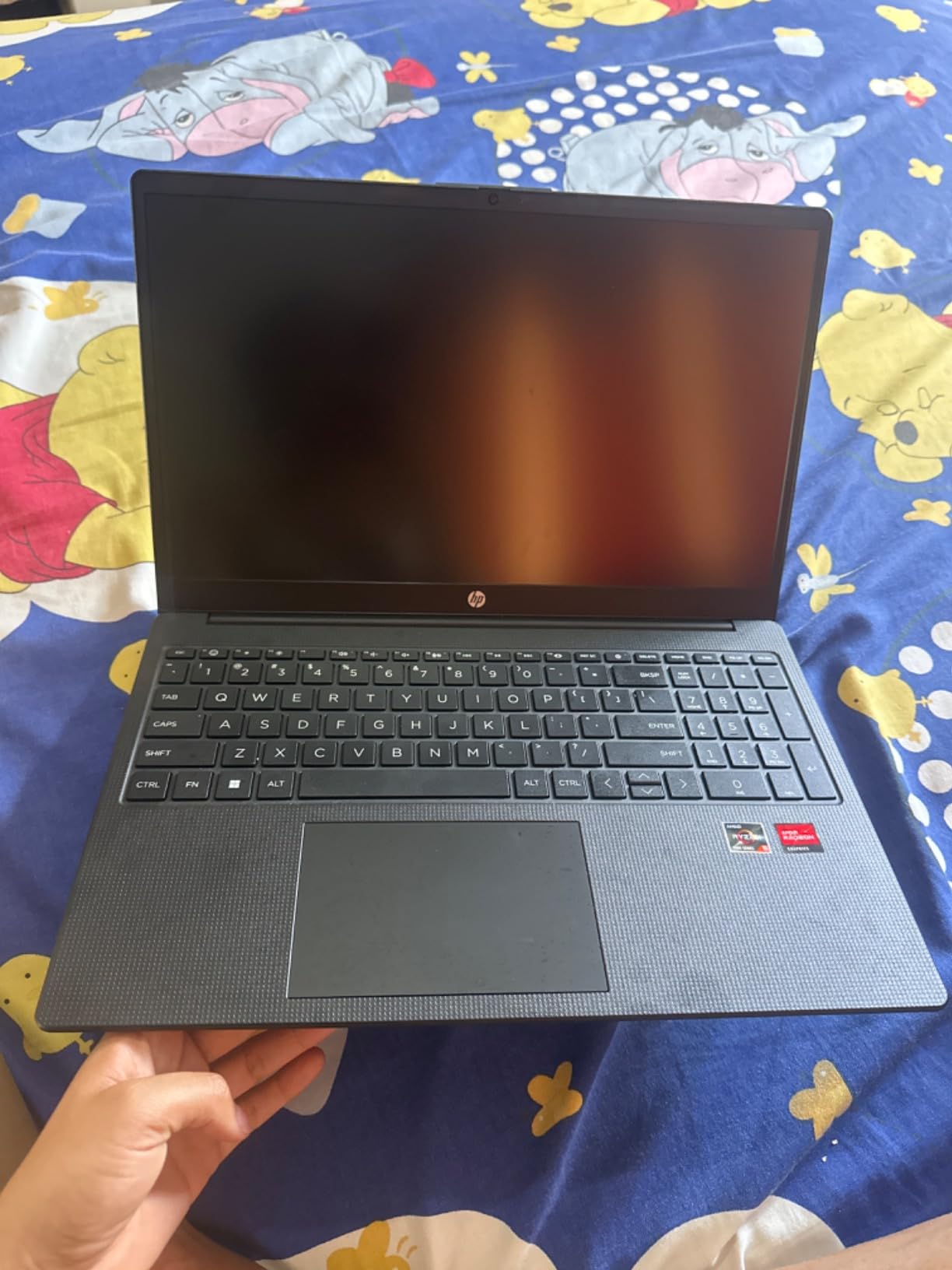 HP 255 G10 Business Laptop, 15.6