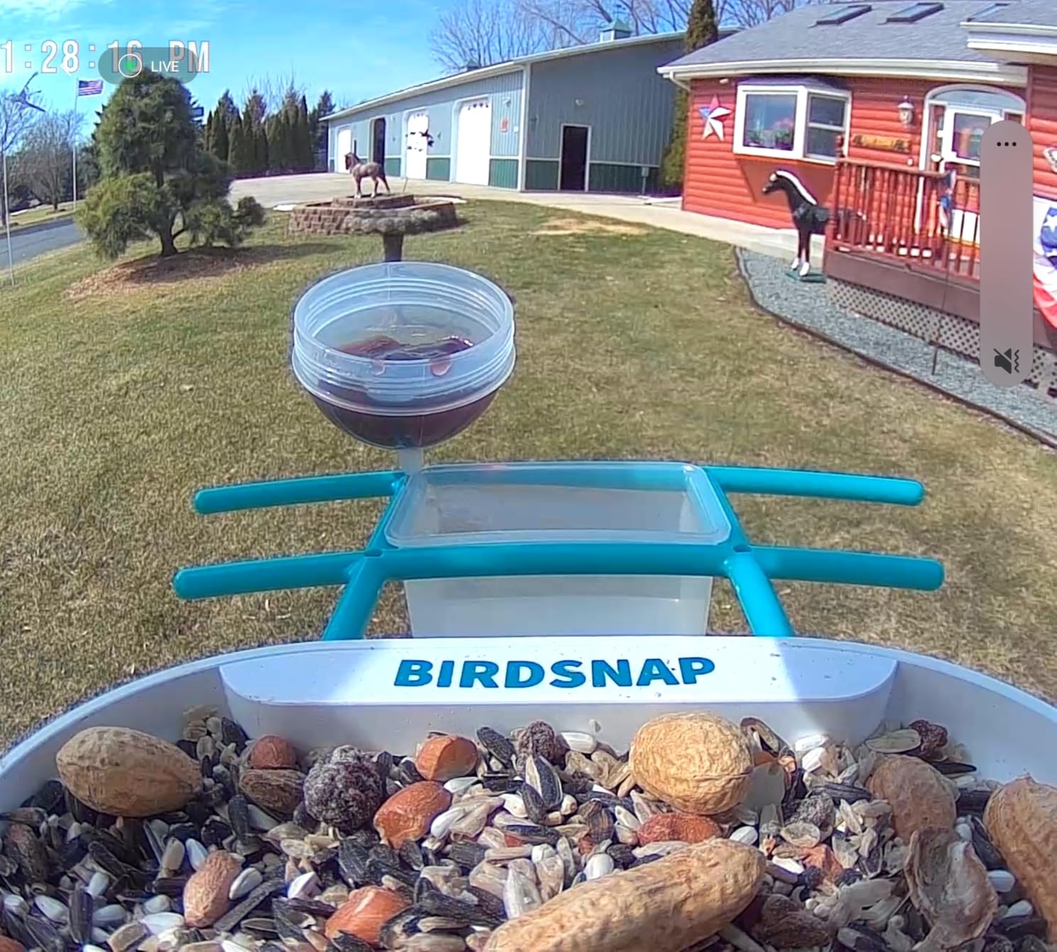 birdsnap TUC Bird Feeder with Camera 2K HD Live with 32GB Card Auto Detect & Notify AI Identify Camera Birds Feeders Solar Powered Wireless Outdoors Backyard Gift for Mom Dad Birds Lover, 2.4G WiFi customer photo 2