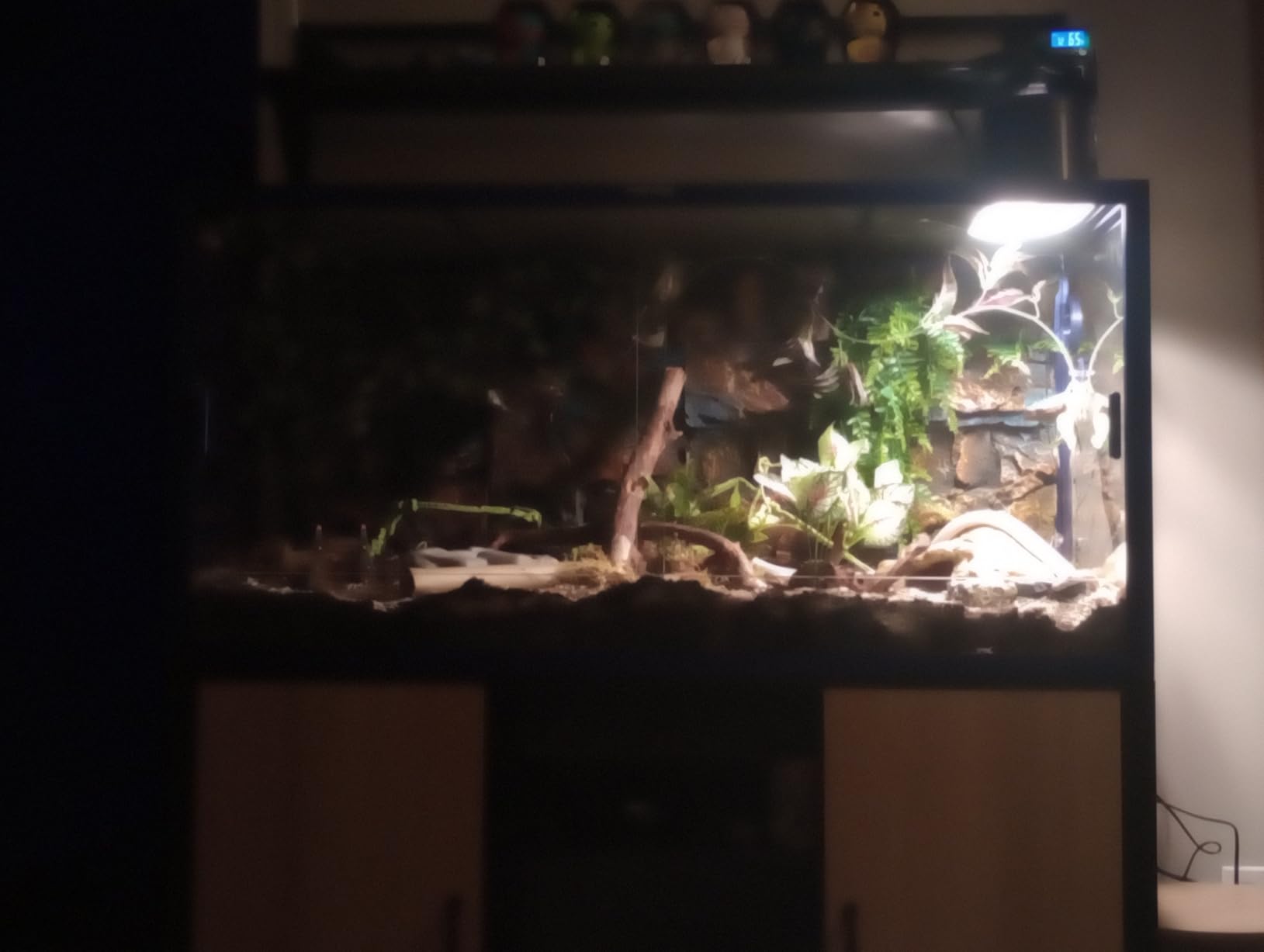 Phailozoo Stackable Reptile Enclosure, 85 Gallon Reptile Tank for Bearded Dragon, Snake, Ball Python with Aluminum Frame & Front Opening Tempered Glass Door customer photo 1