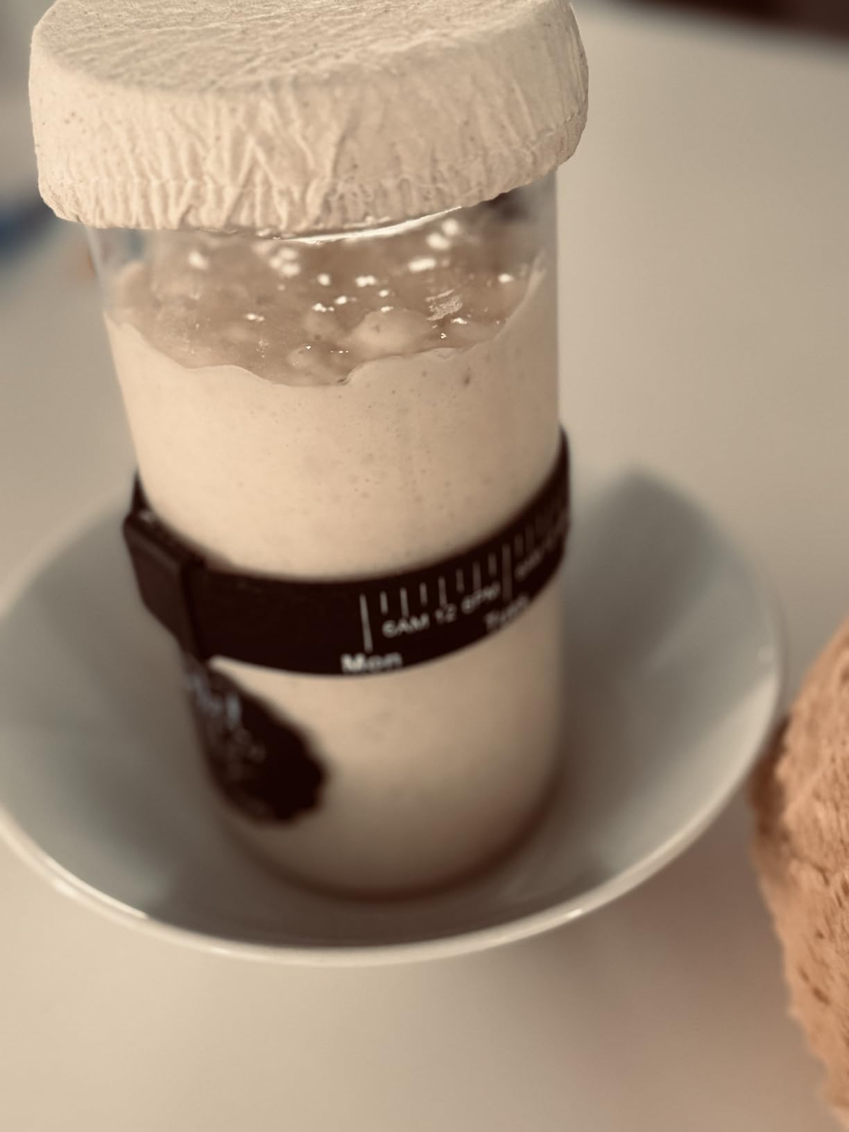 San Francisco Sourdough Starter Culture- 100+ Year Old Dehydrated Heirloom Style Sourdough Starter Kit for Sourdough Bread, Pizza, Buns, Pancakes, Muffins | Easy to follow instructions. By Captain Sourpants customer photo 1