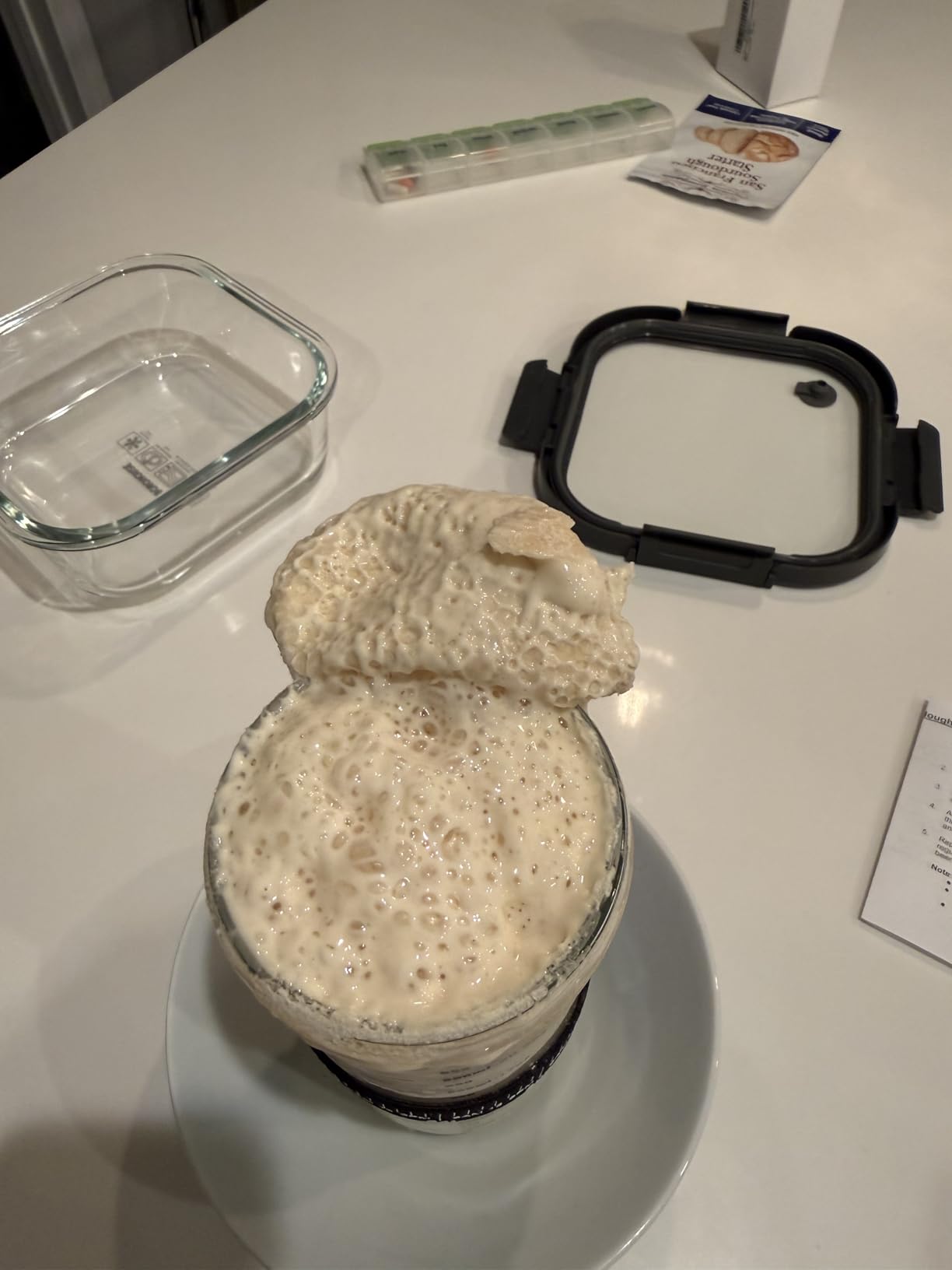 San Francisco Sourdough Starter Culture- 100+ Year Old Dehydrated Heirloom Style Sourdough Starter Kit for Sourdough Bread, Pizza, Buns, Pancakes, Muffins | Easy to follow instructions. By Captain Sourpants customer photo 2