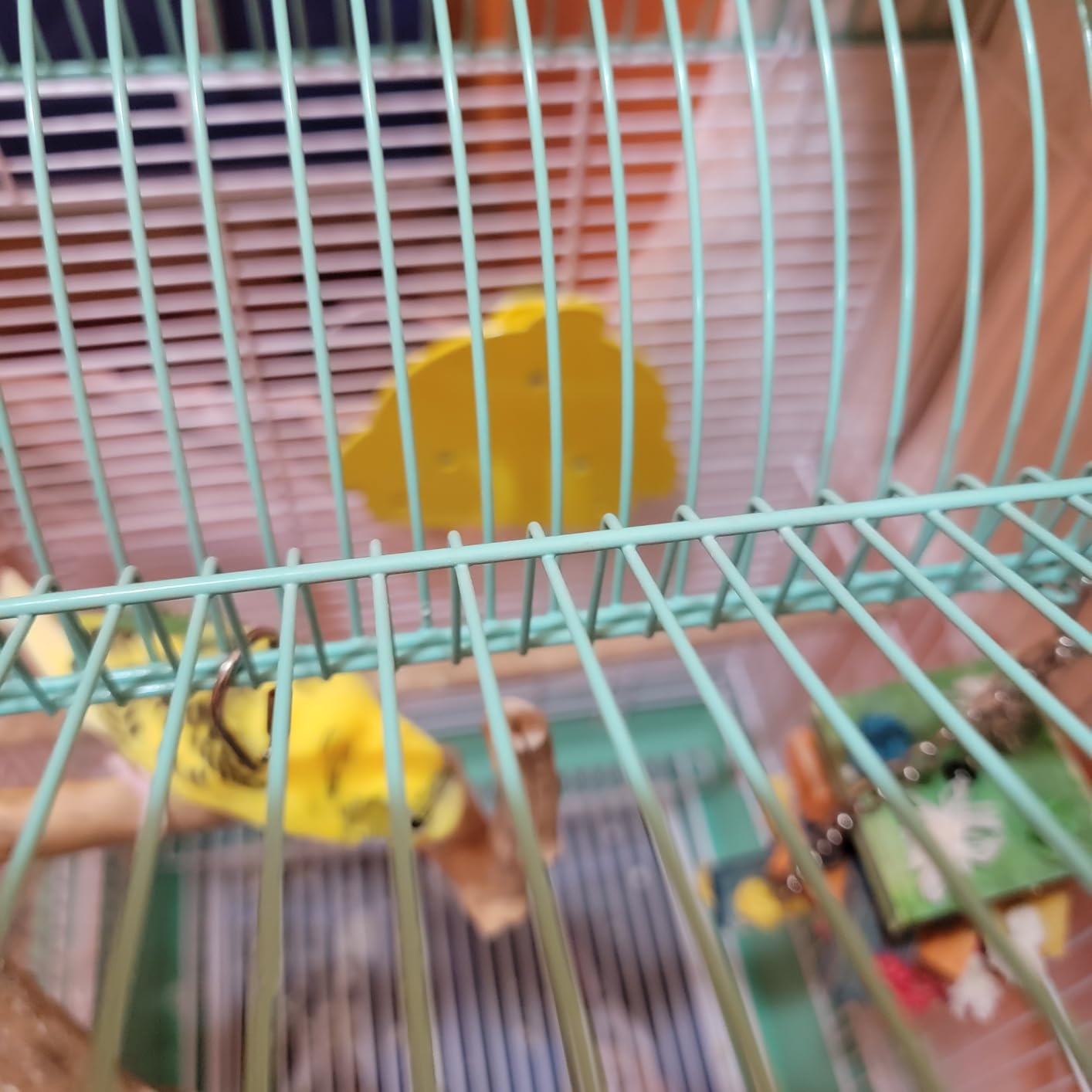 Bird Heater for Cage Parakeets Snuggle Up Heated Pad Bird Warmer for Parrot Parakeets Conure, Warm Bird Perch Stand Birds Cage Accessories and Supplies (Yellow) customer photo 2