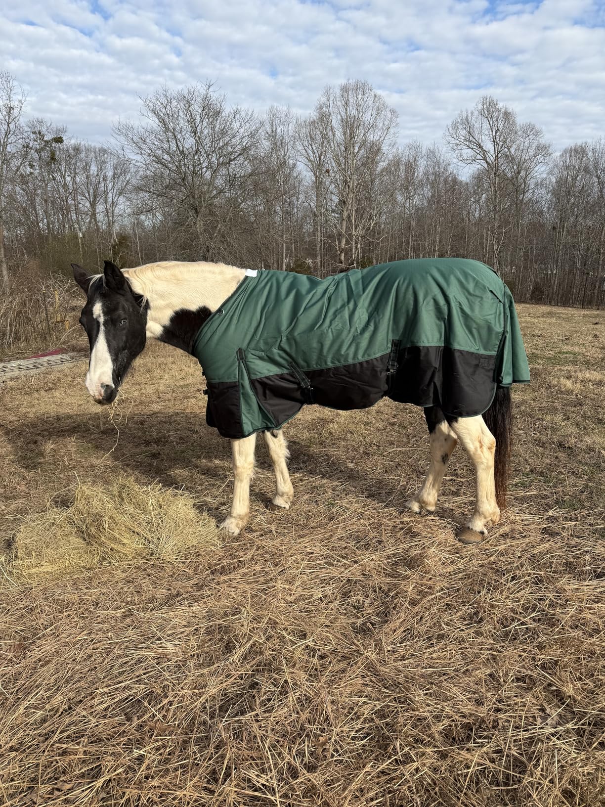 Gallopoff 1200D Ripstop Waterproof Breathable Horse Blanket (0g No Fill), Lightweight Turnout Rain Sheet customer photo 1