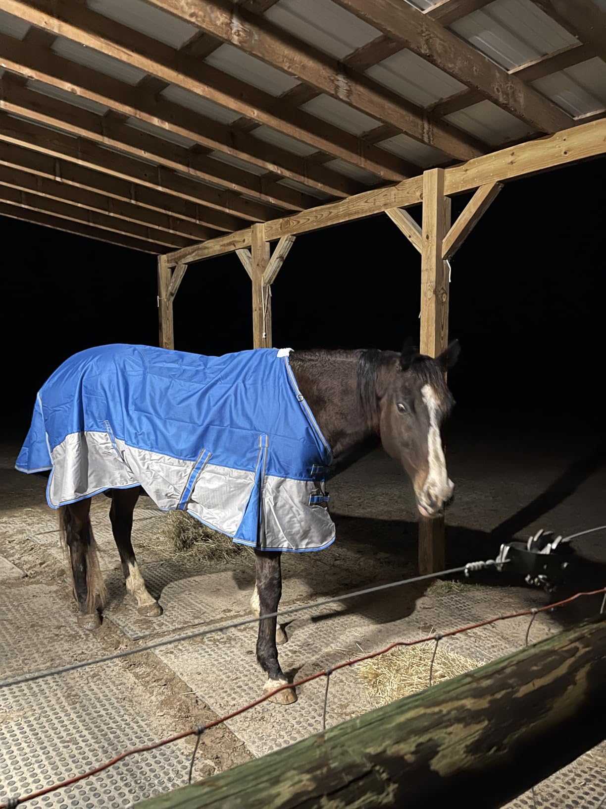 Gallopoff 1200D Ripstop Waterproof Breathable Horse Blanket (0g No Fill), Lightweight Turnout Rain Sheet customer photo 2