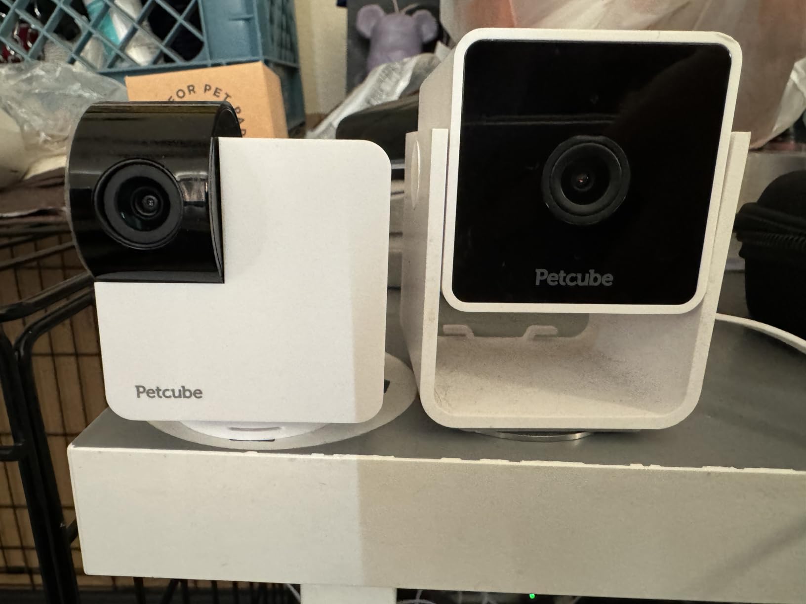 Petcube Cam 360 Camera Interactive WiFi Pet and Home Security Pan-Tilt Camera with Phone App, 1080p HD Video, 360 Rotation, Night Vision, AI Alerts customer photo 2