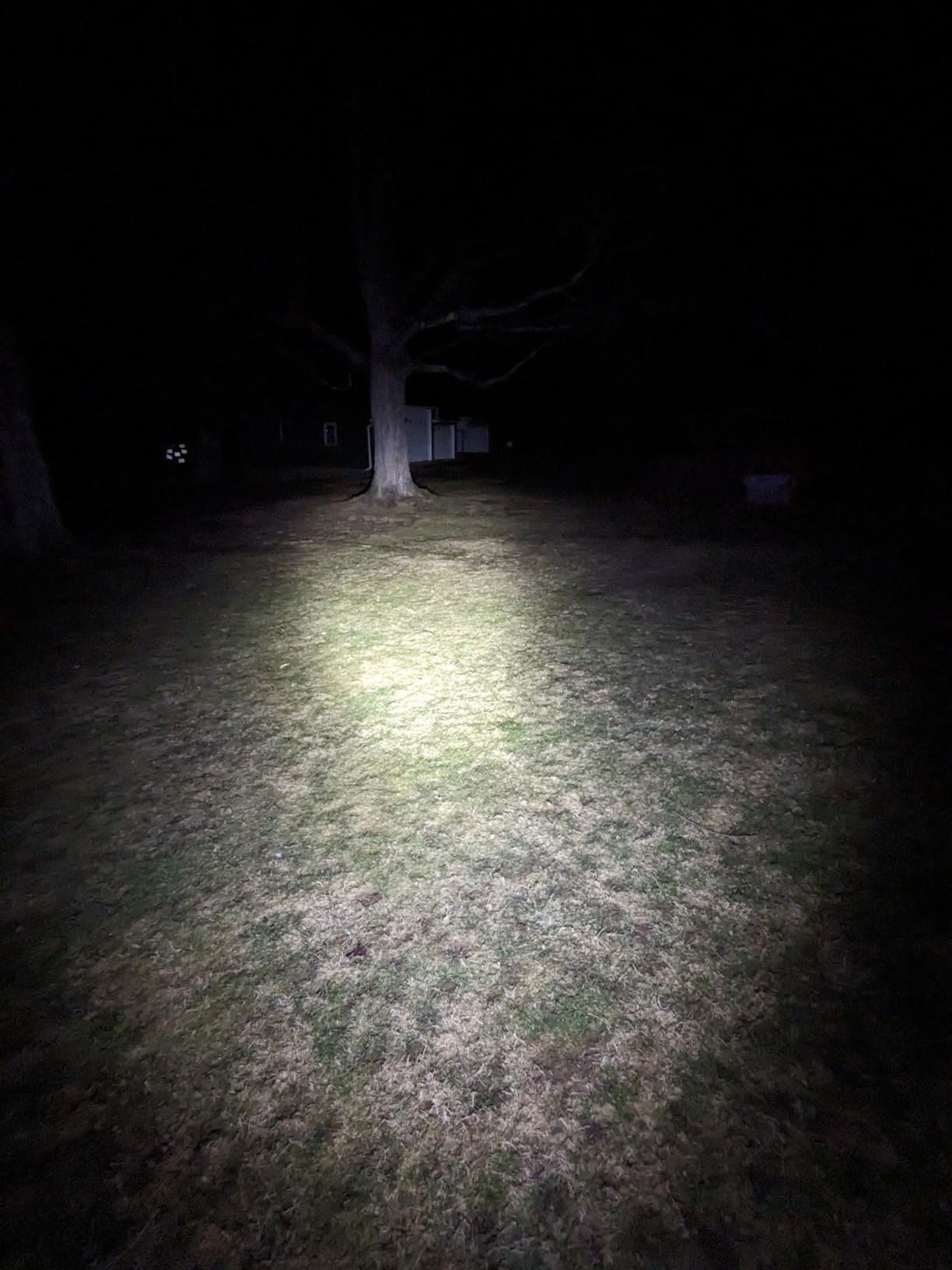 OLIGHT Baton4 Rechargeable EDC Flashlight, Bright Small Flashlight 1300 Lumens with MCC Charging Cable, IPX8 Waterproof, Multiple Modes Pocket Light for Home, Camping, and Emergencies (OD Green) customer photo 2