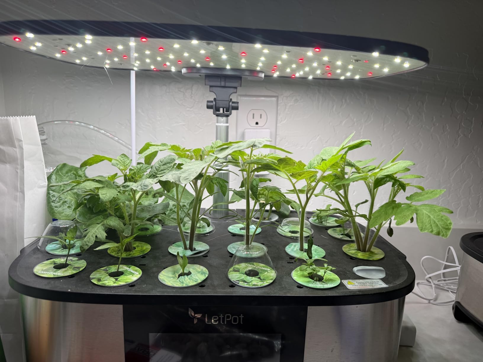 LetPot LPH-Max Hydroponics Growing System Kit, 21 Pods APP & WiFi Automatic Controlled Smart Indoor Garden with 36W LED Grow Light, Auto Drip Irrigation Kits, Self-Managed Nurturing & Watering customer photo 1
