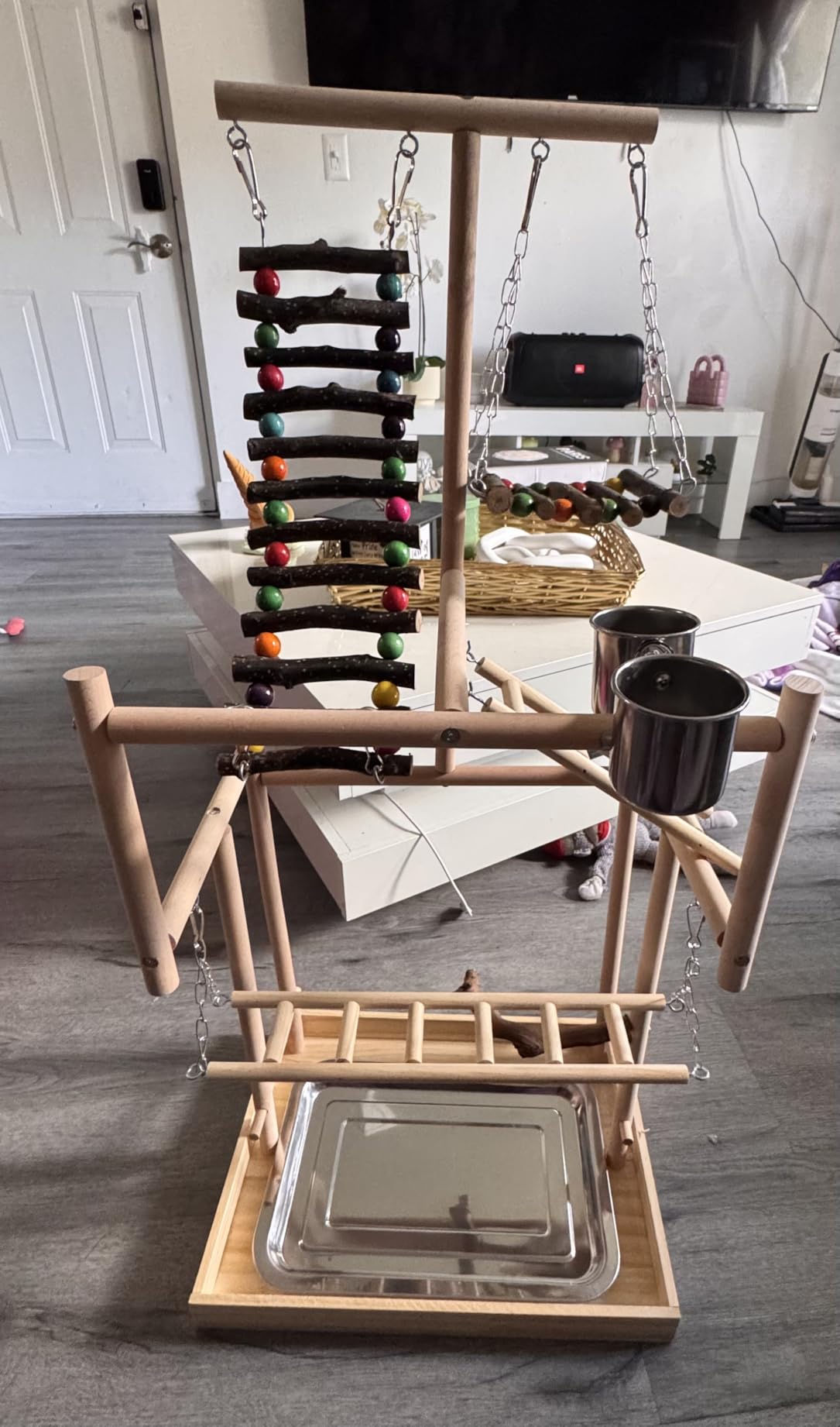 Hamiledyi Bird Playground Parrots Wood Perch Stand Cockatiel Playground Bird Play Gym Colours Climb Ladders Swing Chewing Toys with Parakeet Feeding Cups Exercise Activity Center for Lovebirds Conure customer photo 1