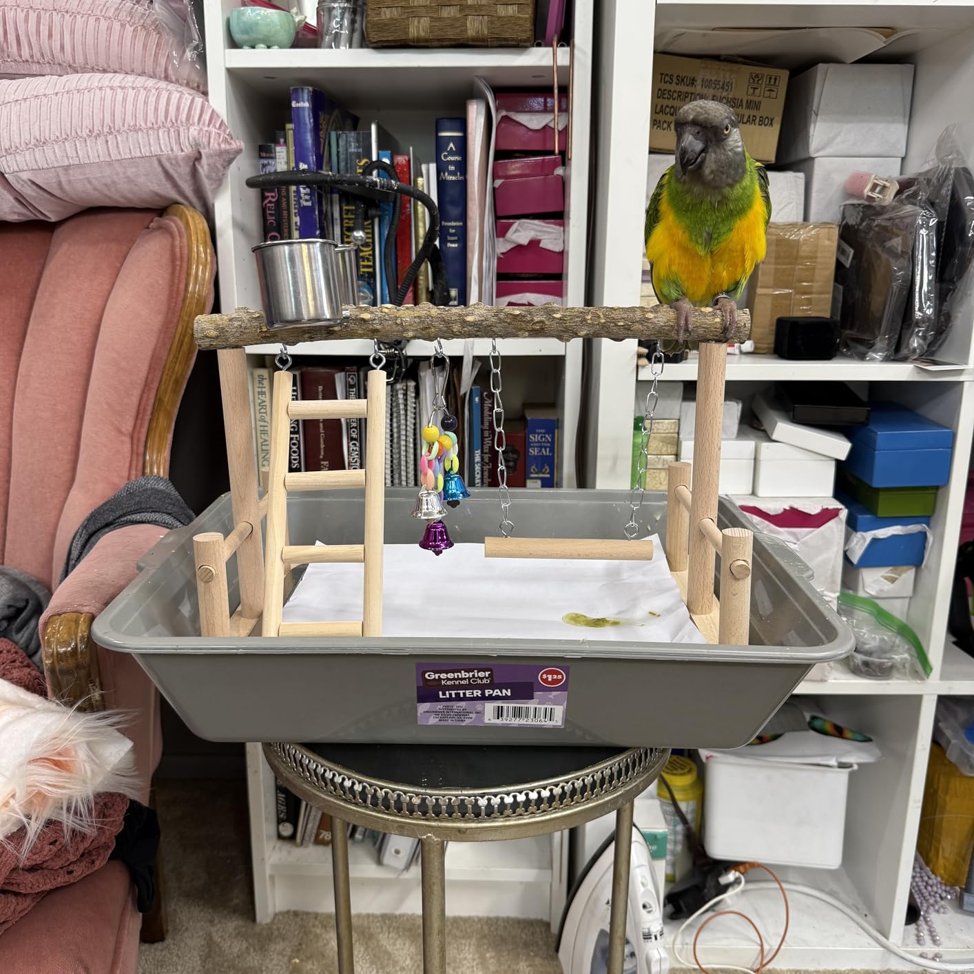 Hamiledyi Bird Playground Parrots Wood Perch Stand Cockatiel Playground Bird Play Gym Colours Climb Ladders Swing Chewing Toys with Parakeet Feeding Cups Exercise Activity Center for Lovebirds Conure customer photo 2