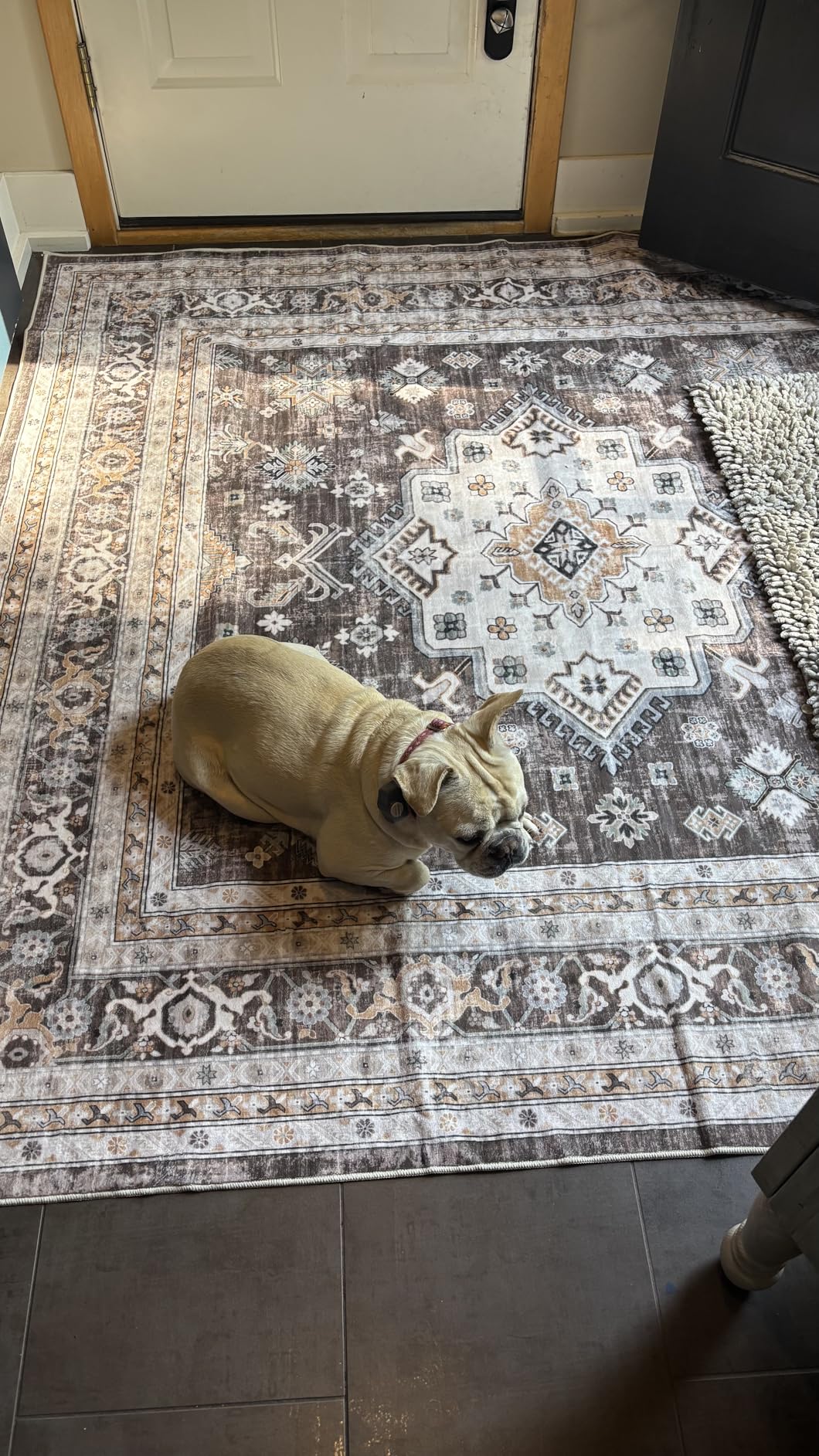 Vintage Living Room Area Rug 8x10 - Large Soft Washable Oriental Traditional Distressed Farmhouse Rugs for Bedroom - Indoor Floor Accent Carpet for Home Office House Decor - Beige customer photo 2