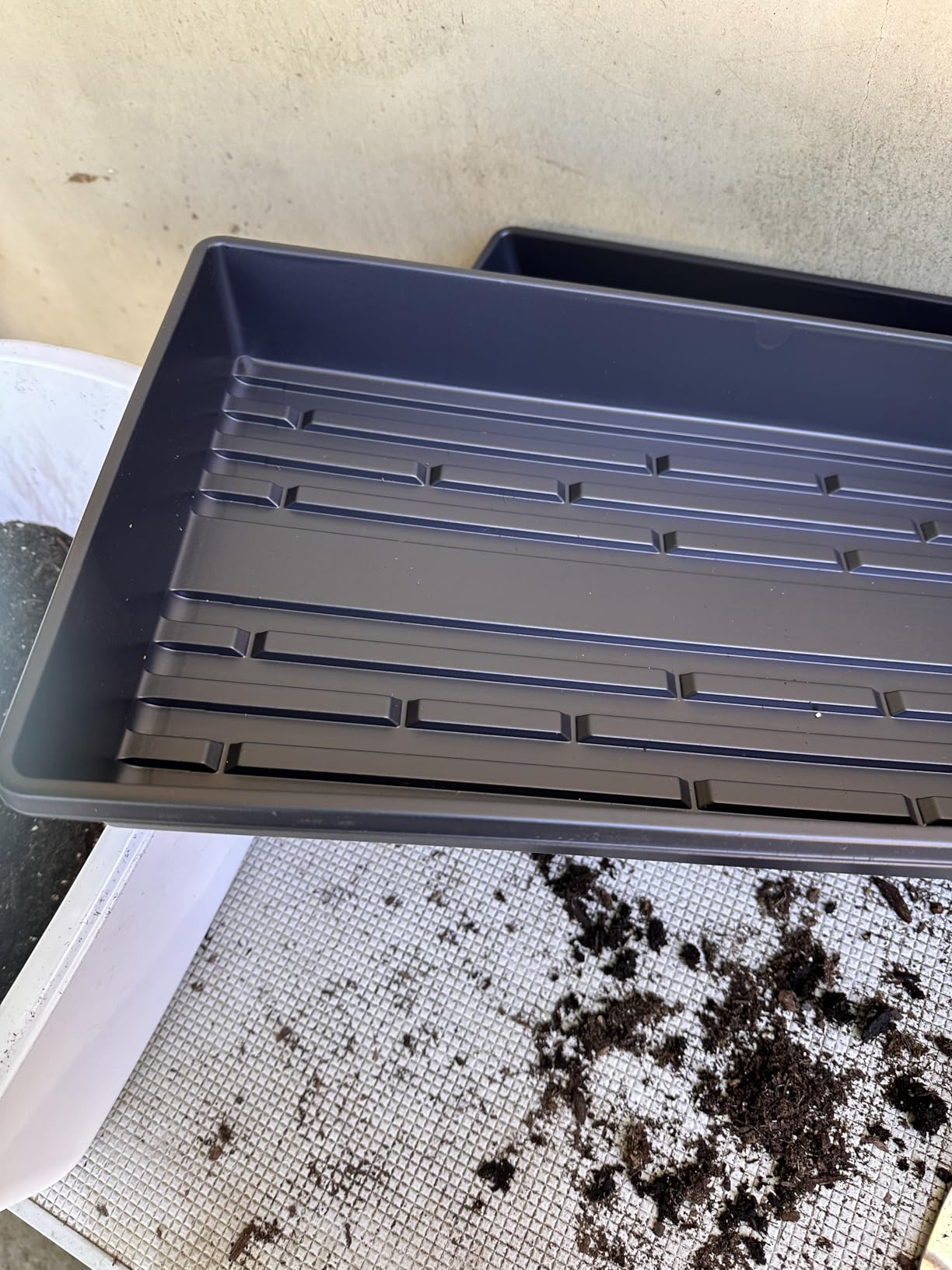 10 Plant Growing Trays (with Drain Holes) - 20