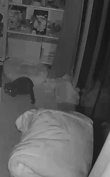Petcube Bites 2 Lite + Extra Care Service with Smart Alerts [Paid in-App Subscription] | Interactive WiFi Pet Monitoring Camera with Phone App and Treat Dispenser, 1080p HD Video, Night Vision customer photo 2