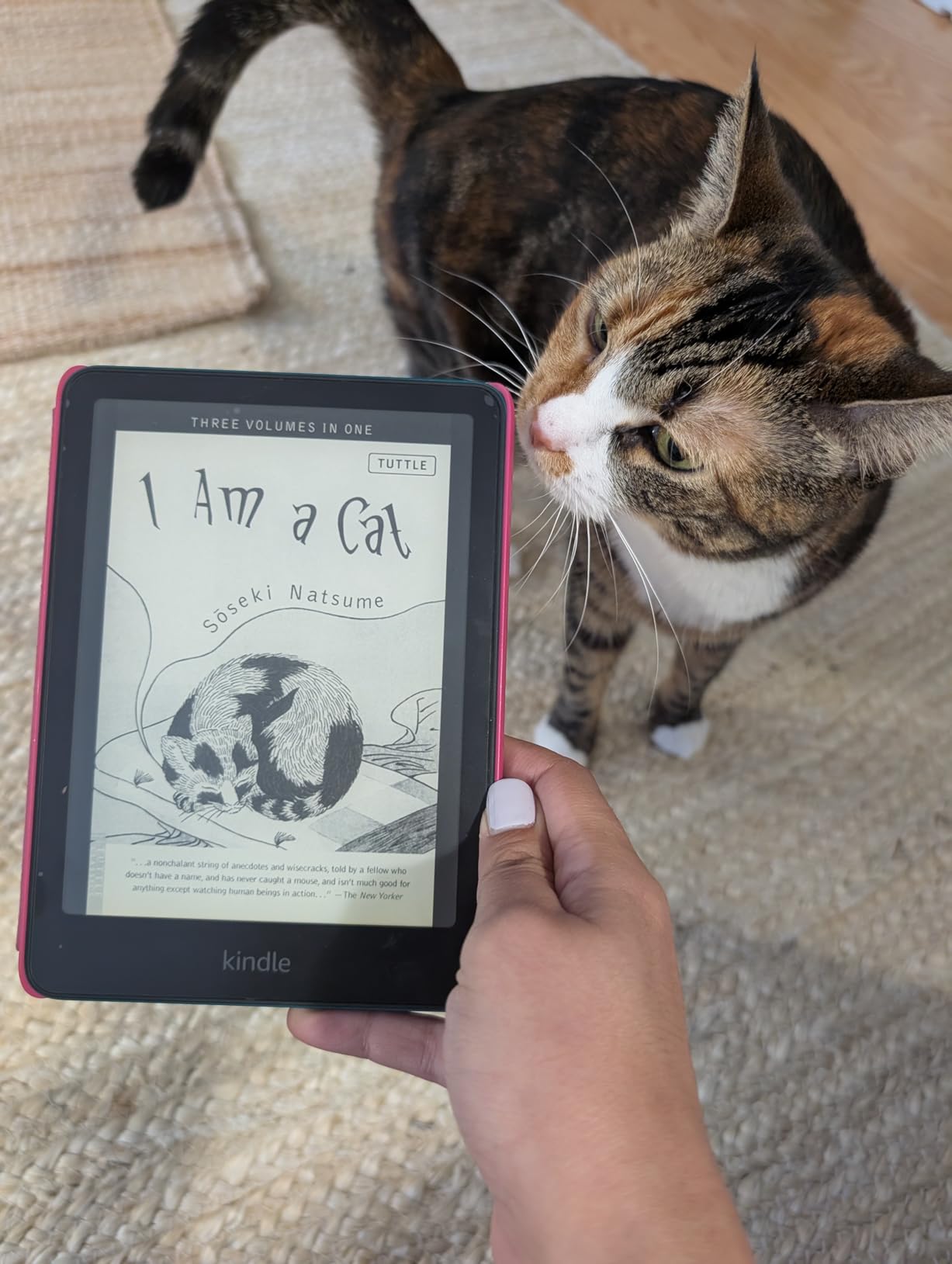 Amazon Kindle Paperwhite and Kindle Colorsoft Case, Lightweight and Water-Safe, Foldable Protective Cover - Fabric customer photo 2