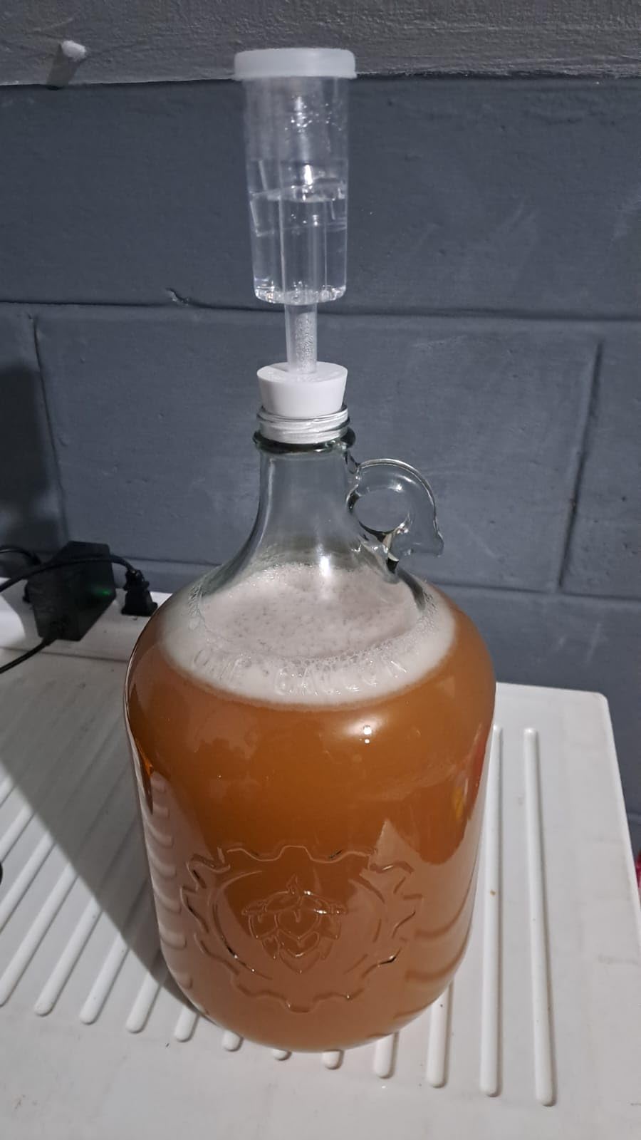 Craft A Brew - Fruit Wine Making Kit - Easy for Beginners - At Home Wine Making Kit - Includes Ingredients & Reusable Equipment - Use Any Fresh, Frozen or Fruit Juice - Makes Up to 20 1-gallon Batches customer photo 1