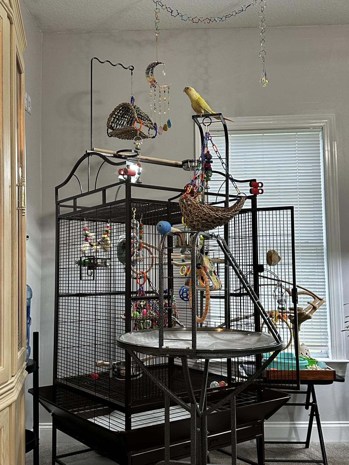 Elegant and Durable Wrought Iron Parrot Bird Play Perch Sturdy 4-Leg Rolling Stand Perch Gym Ground with Removable No Rust Stainless Steel Tray and Feed Cups Toy Hook customer photo 2