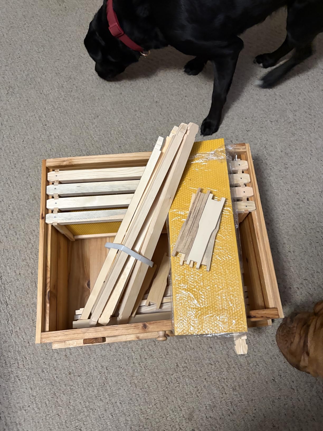 Honey Lake 10 Frame Langstroth Beehive Starter Kit - Wax-Dipped Bee Hive with Viewing Windows, Deep Brood Box, Medium Super, Beehive Frames & Waxed Foundation Sheets customer photo 1