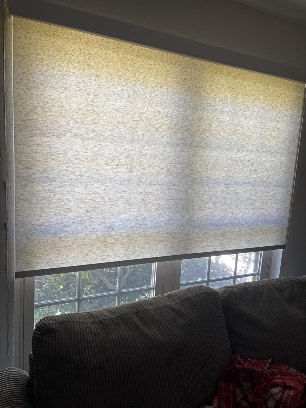 Persilux Free-Stop Cordless Window Shades Light Filtering Roller Blinds for Windows (Cream 34.5