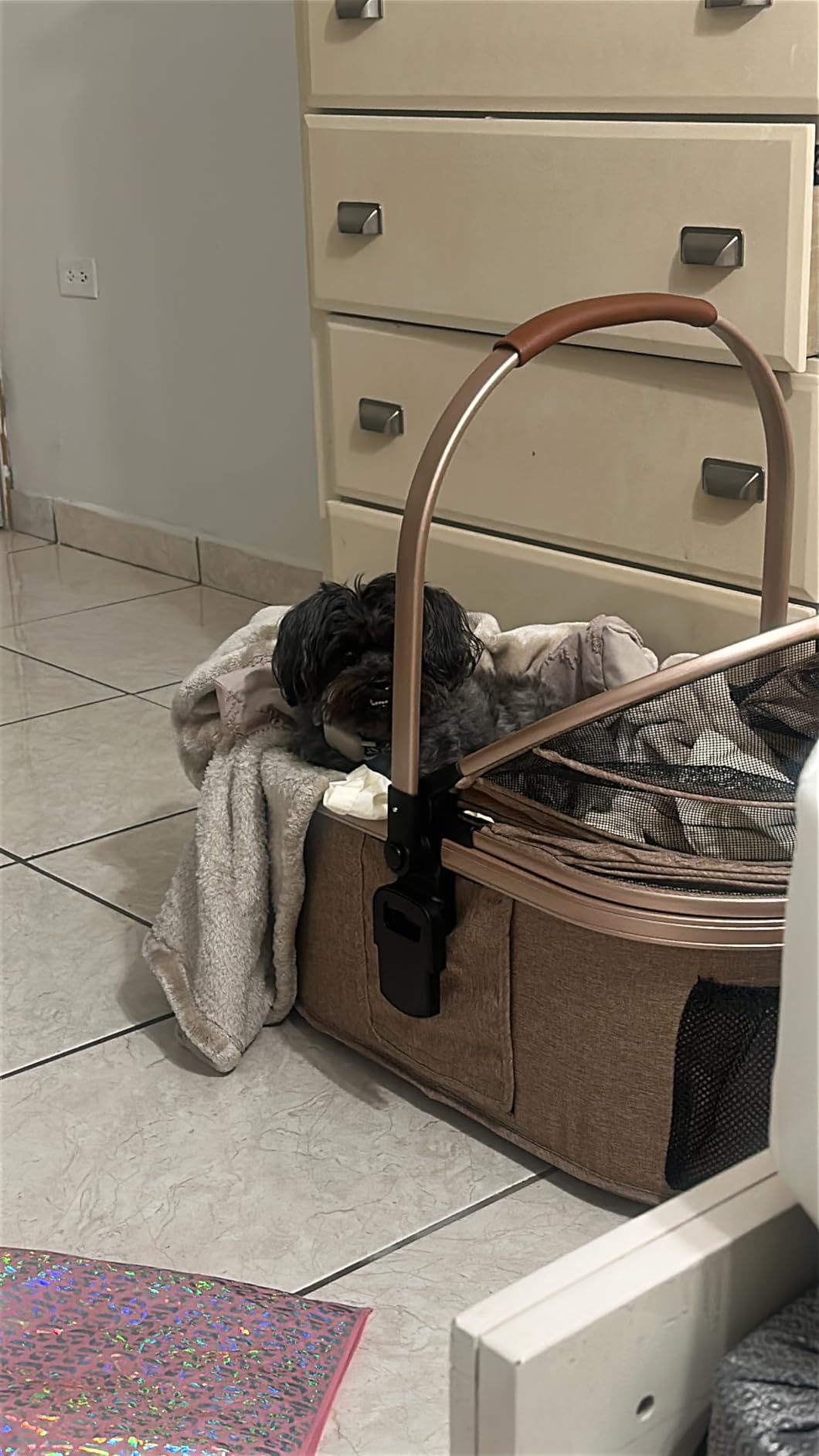 Bicystar Pet Stroller for Medium Dogs, Smooth-Ride Dog Stroller with Detachable Carrier, Rubber Wheels, Car Seat Combo 3-in-1, Up to 50 lbs, for Senior Dogs & Cats, Grey customer photo 2