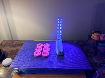 Resiners UV Light for Resin Curing, UV Resin Light, Wireless & Rechargeable UV Lamp, 3-in-1 Uses, Foldable Blacklight Ultraviolet LED, Craft Supplies Tools for Resin Molds, Jewelry Making, DIY Decor customer photo 2