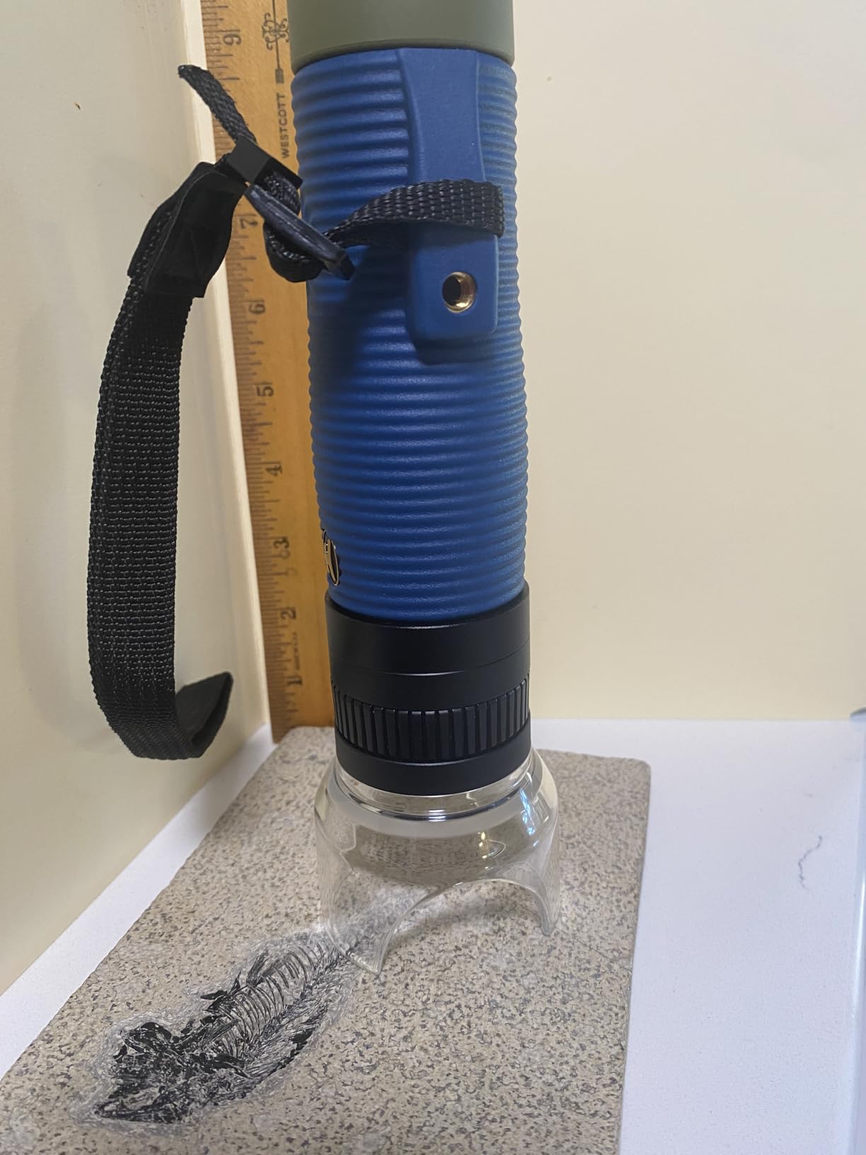 Nocs Provisions Zoom Tube 8x32 Monocular, 8X Magnification Telescope, Bak4 Prism, Wide Field of View for Bird Watching, Backpacking & Wildlife Viewing - Indigo Blue II customer photo 1