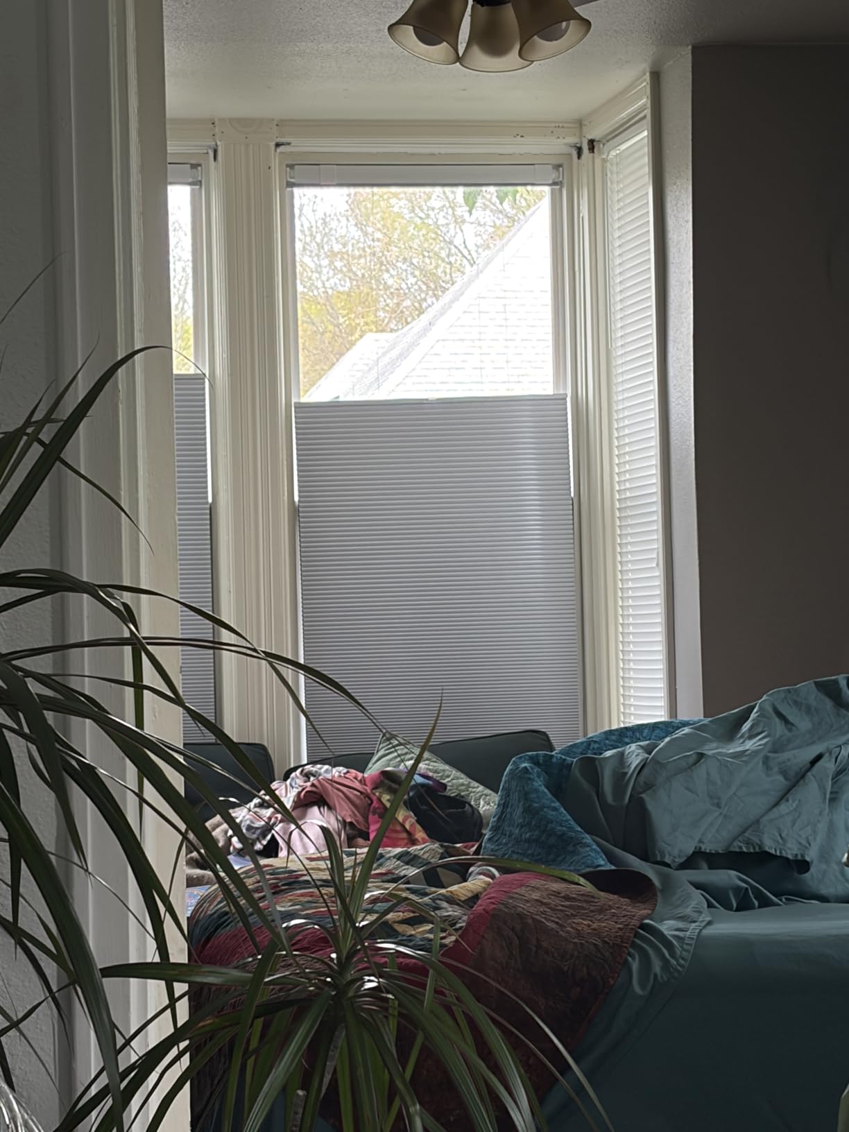 LazBlinds No Tools No Drill Cordless Cellular Shades, Top Down Bottom Up (TDBU) Honeycomb Shades for Home, Blackout Light Blocking Thermal Insulation Blinds for Windows, 35